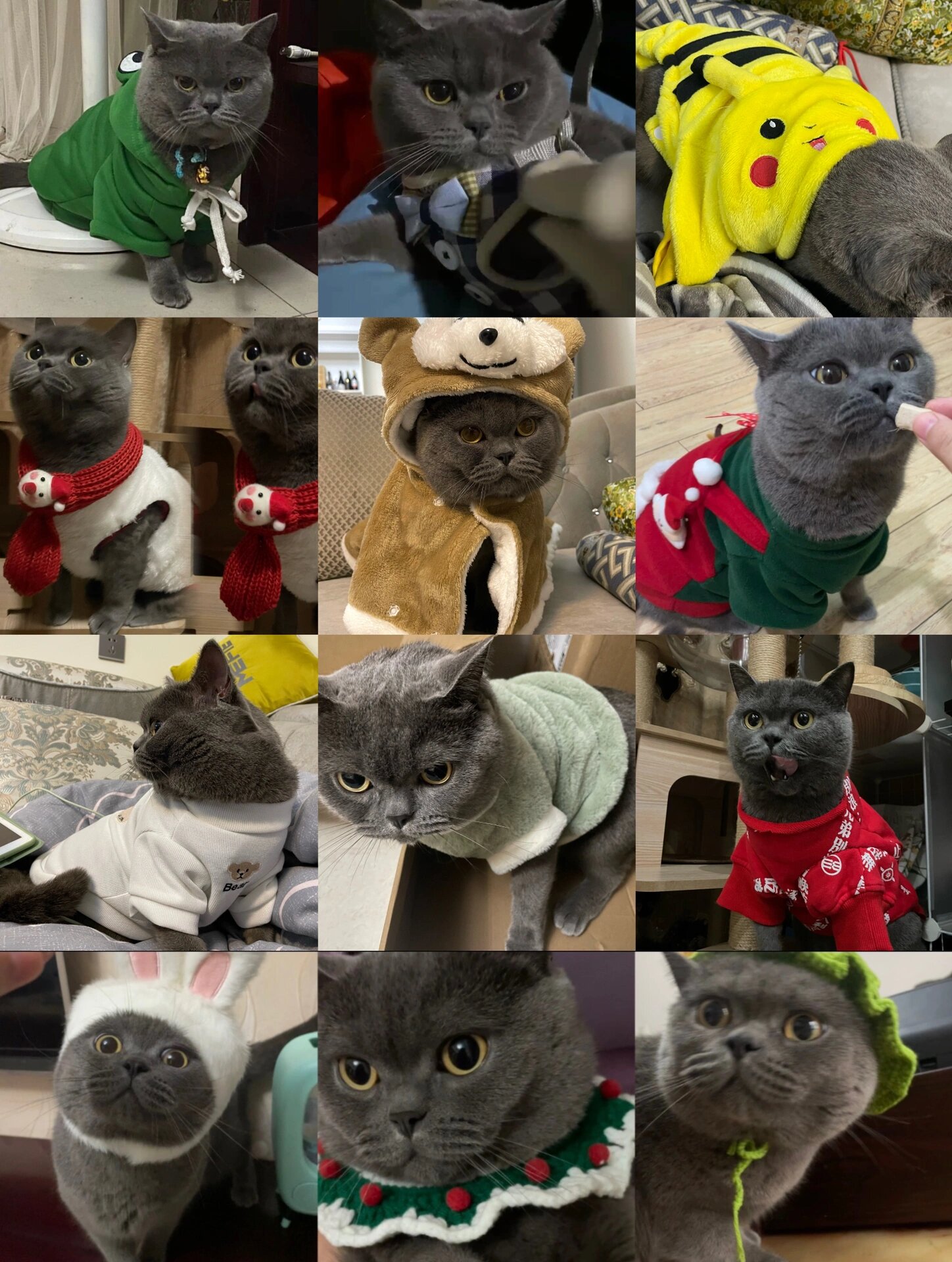 每次买了新衣服之类的就立马摆拍两张还好有点