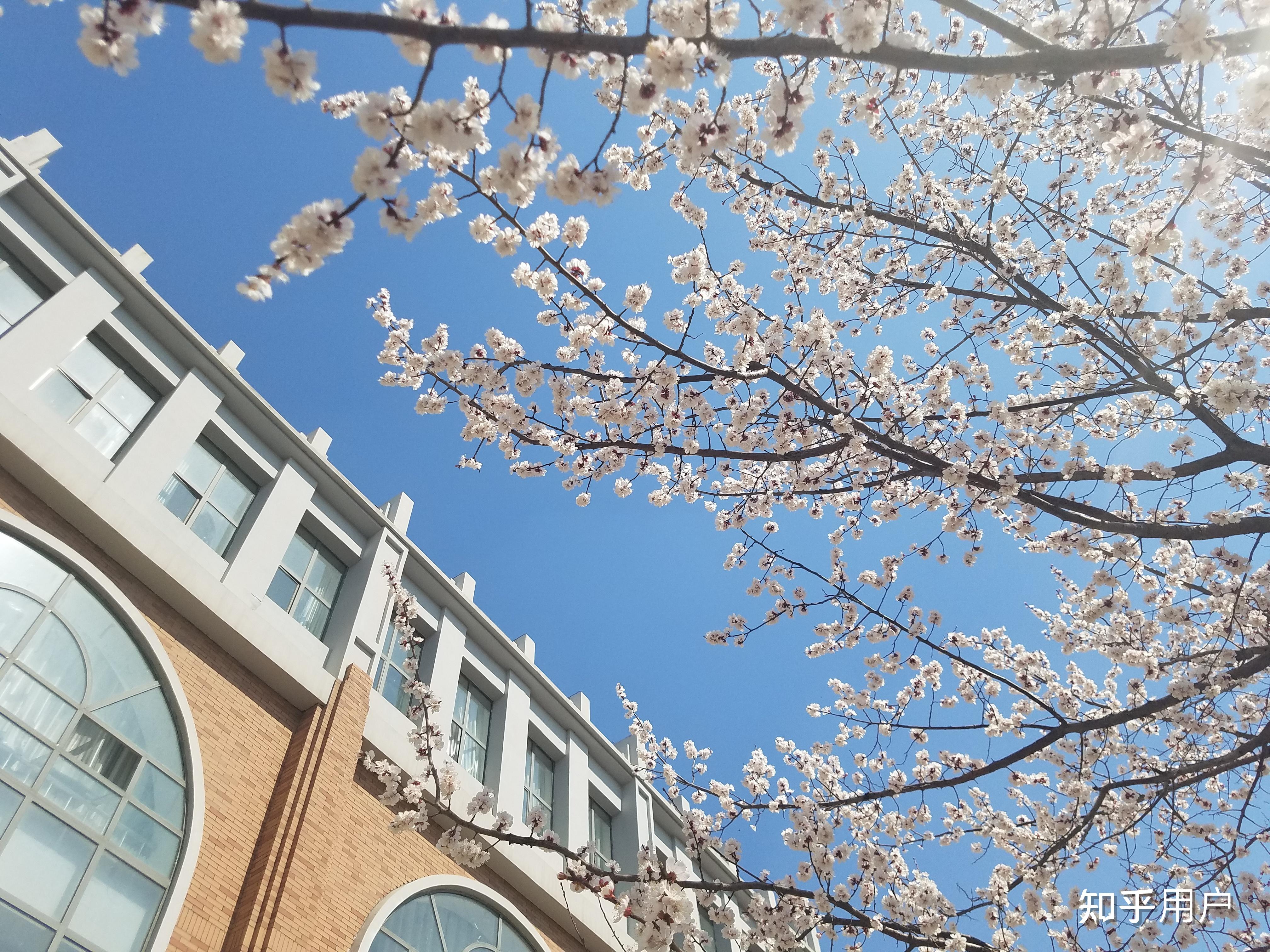 吉林外国语大学怎么样