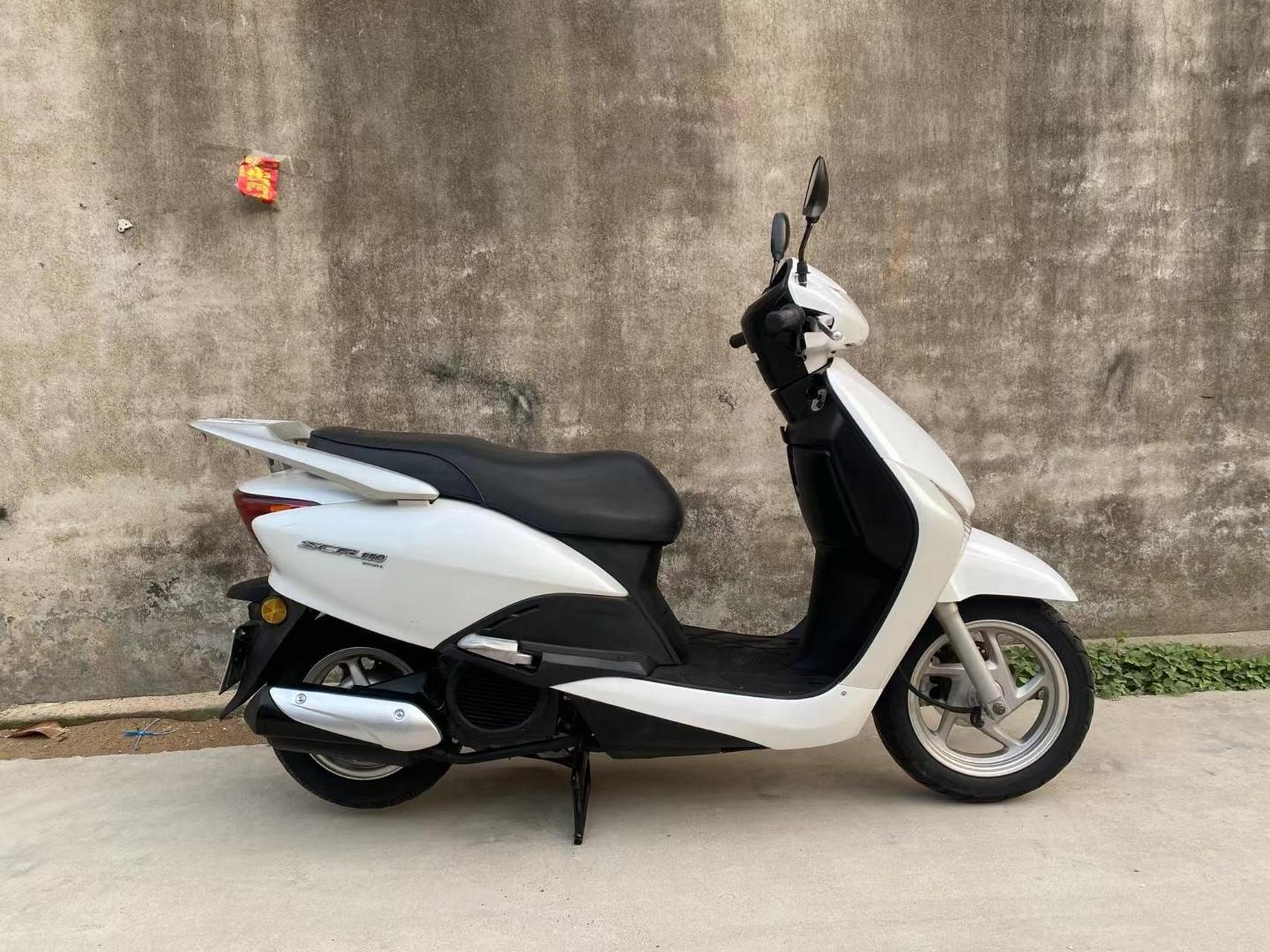 本田佳御110甲鱼