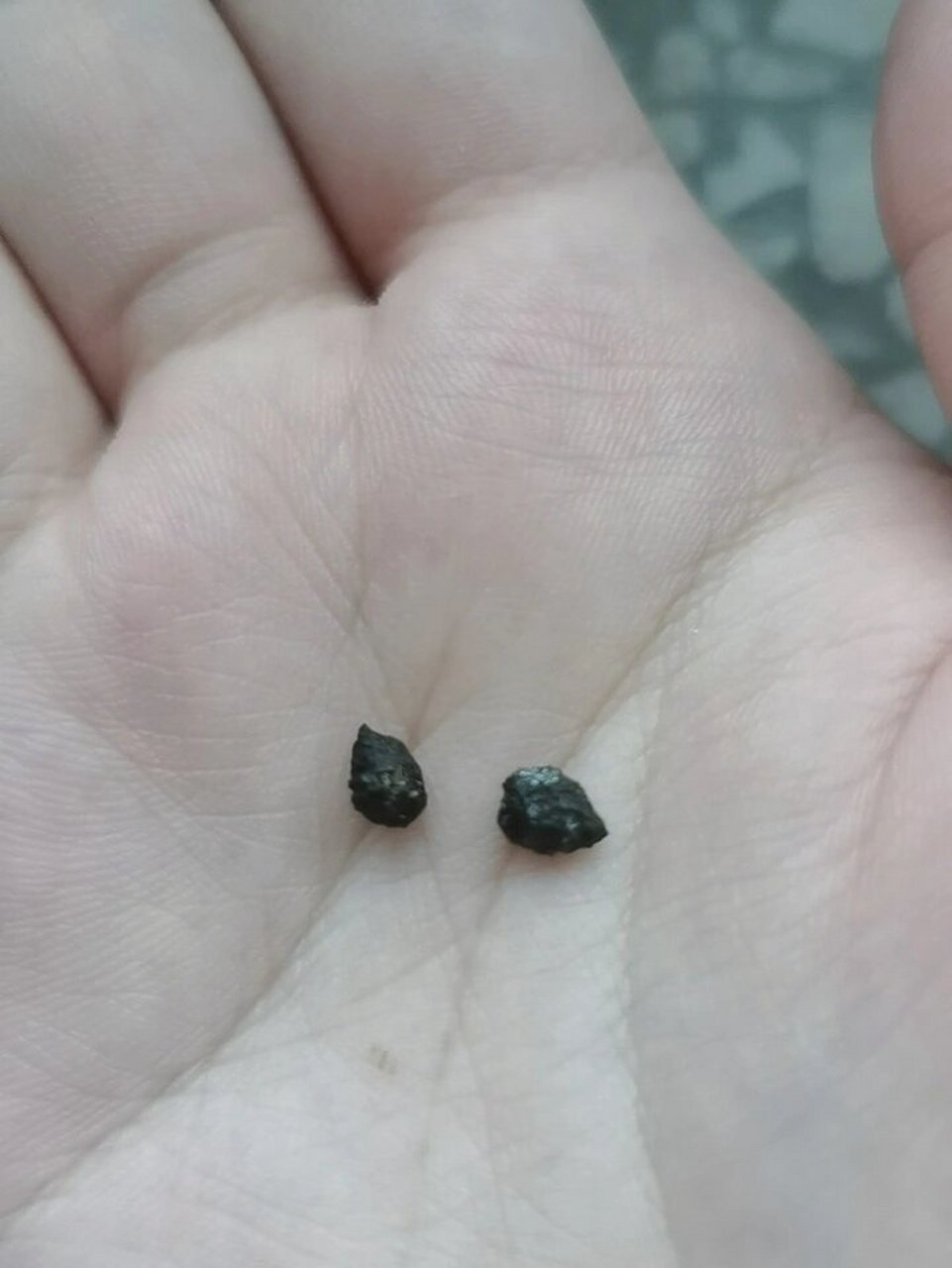 92兔子的粑粑这样正常吗?