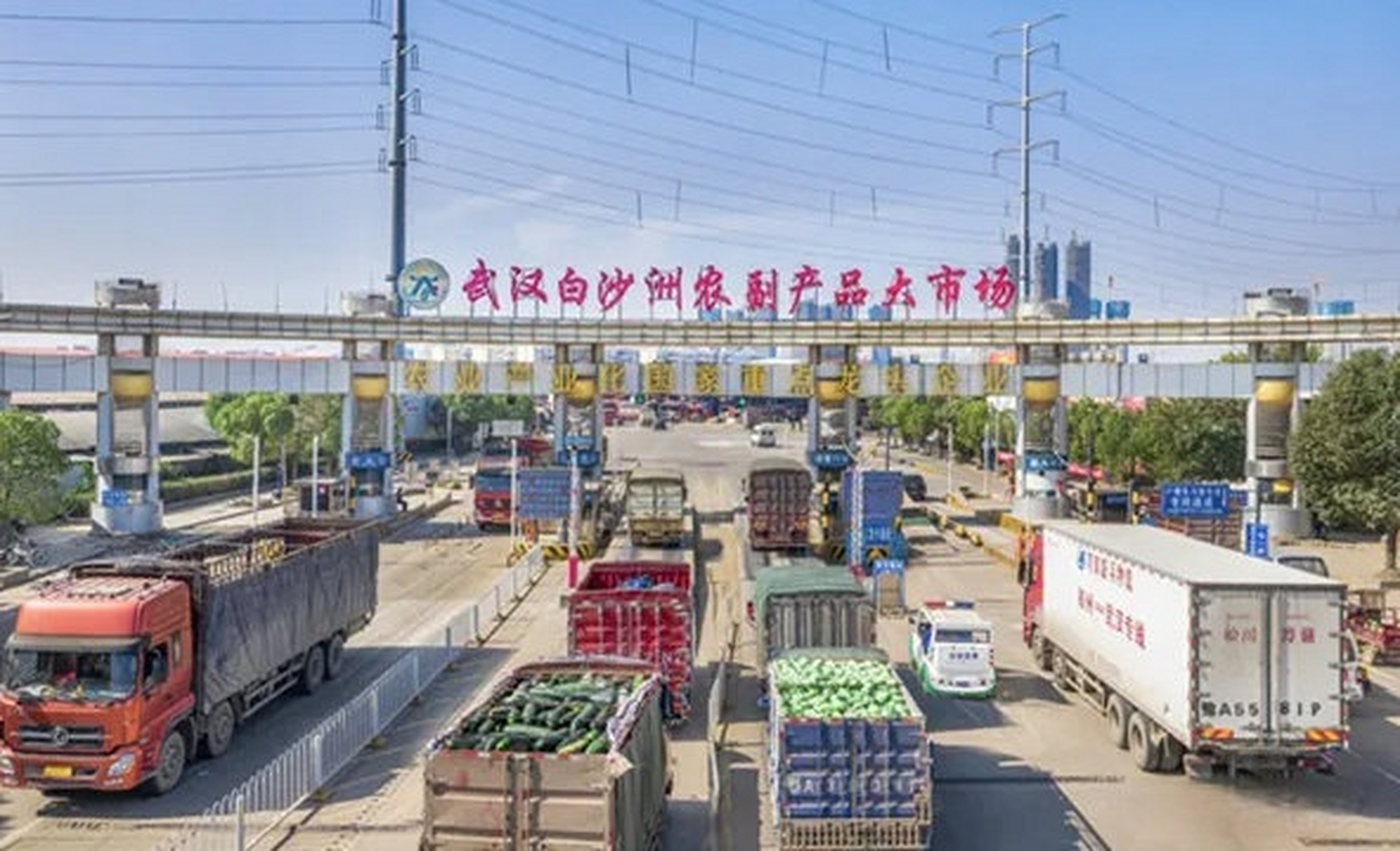 武汉白沙洲大市场,搬迁选址为