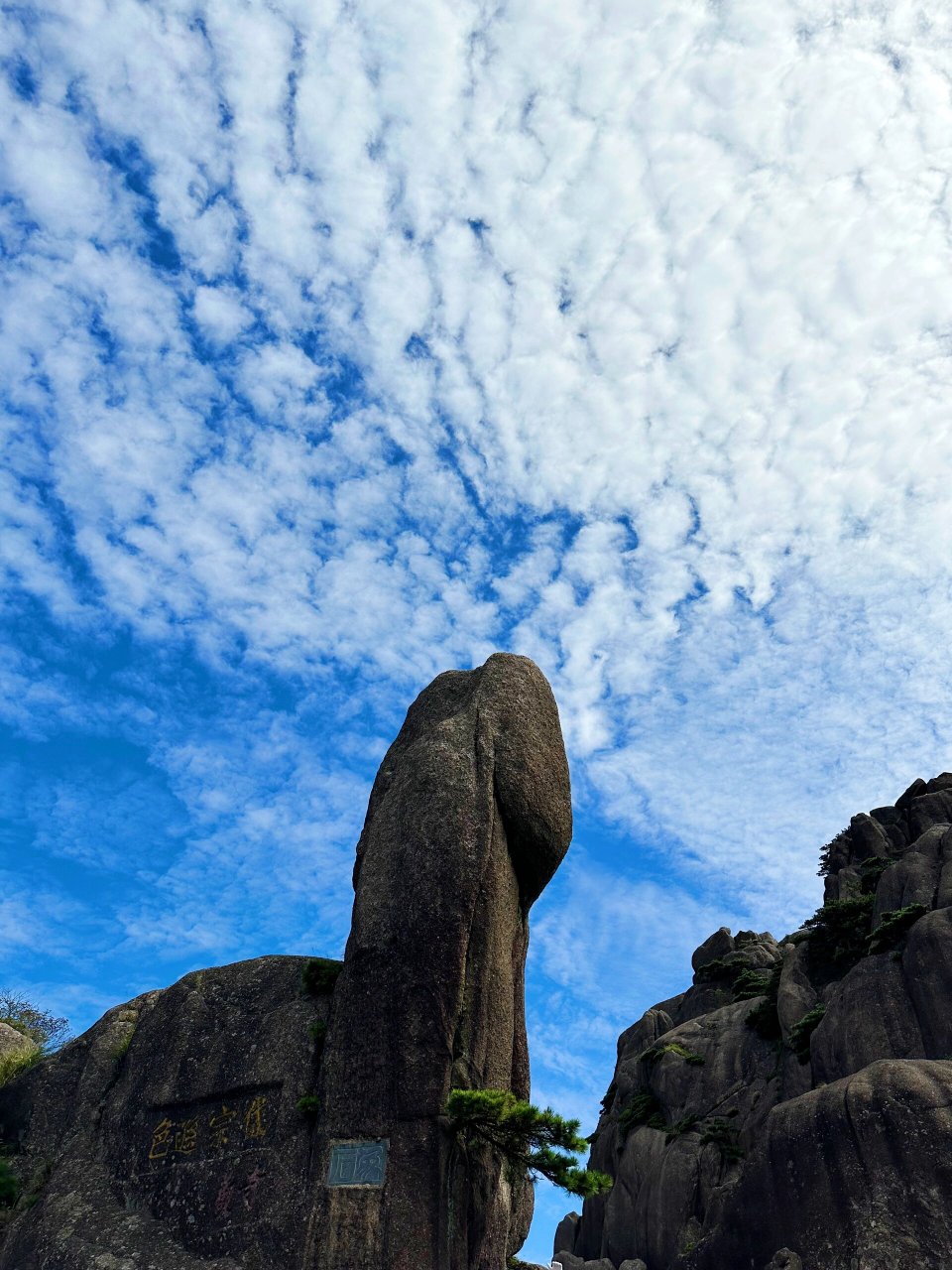 跟着书本去旅行之《黄山奇石》 仙桃石 仙人指路 天狗望月 	 二师兄