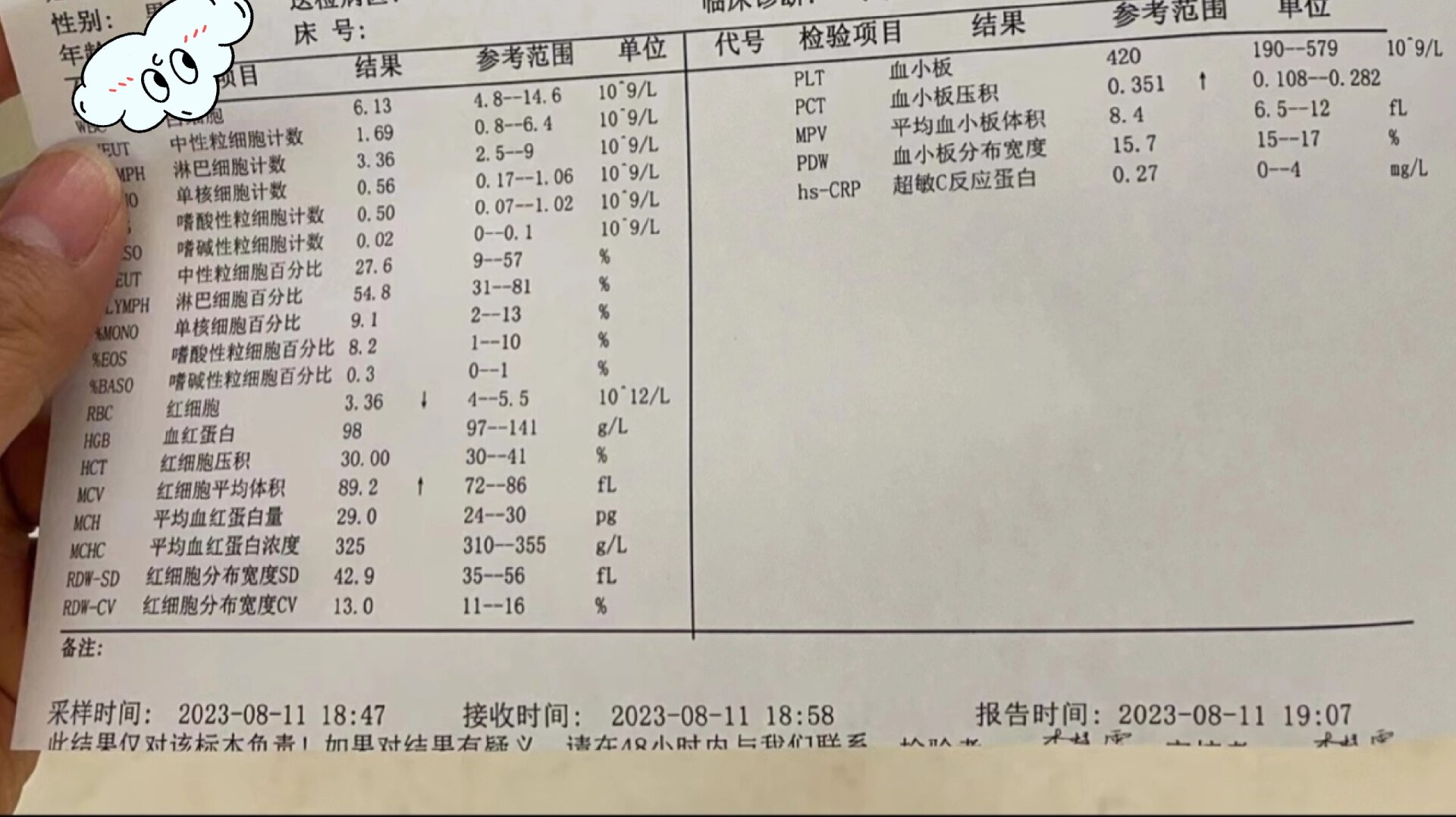 血常规化验单 贫血图片