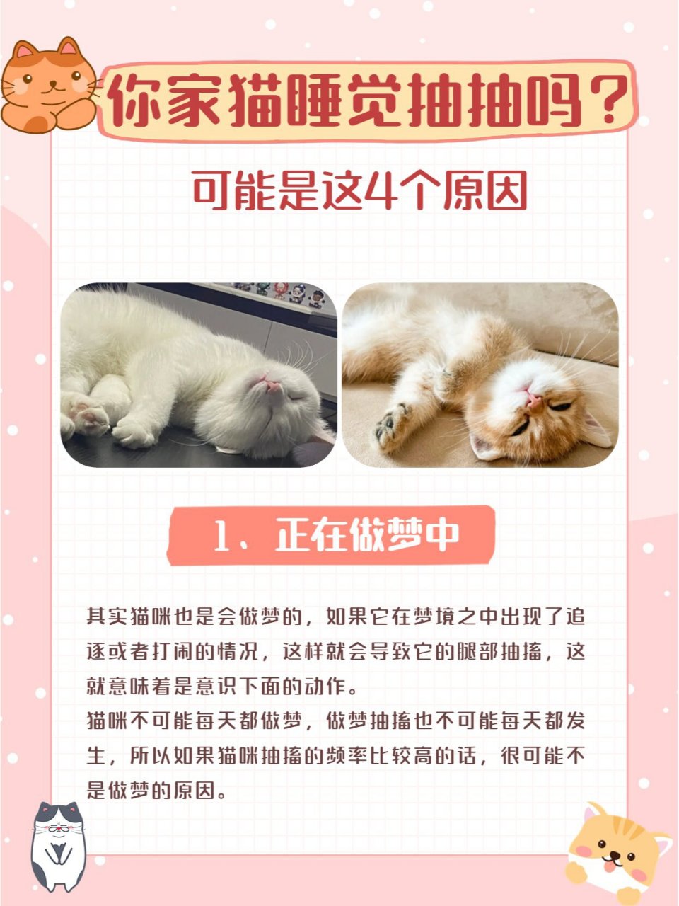 小猫为什么会抖
