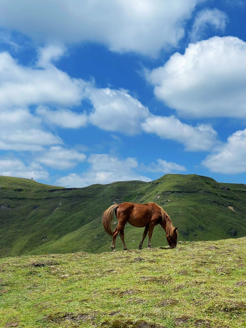 贵州的阿西里西草原位于毕节市赫章县,距离毕节差不多071小时40分钟
