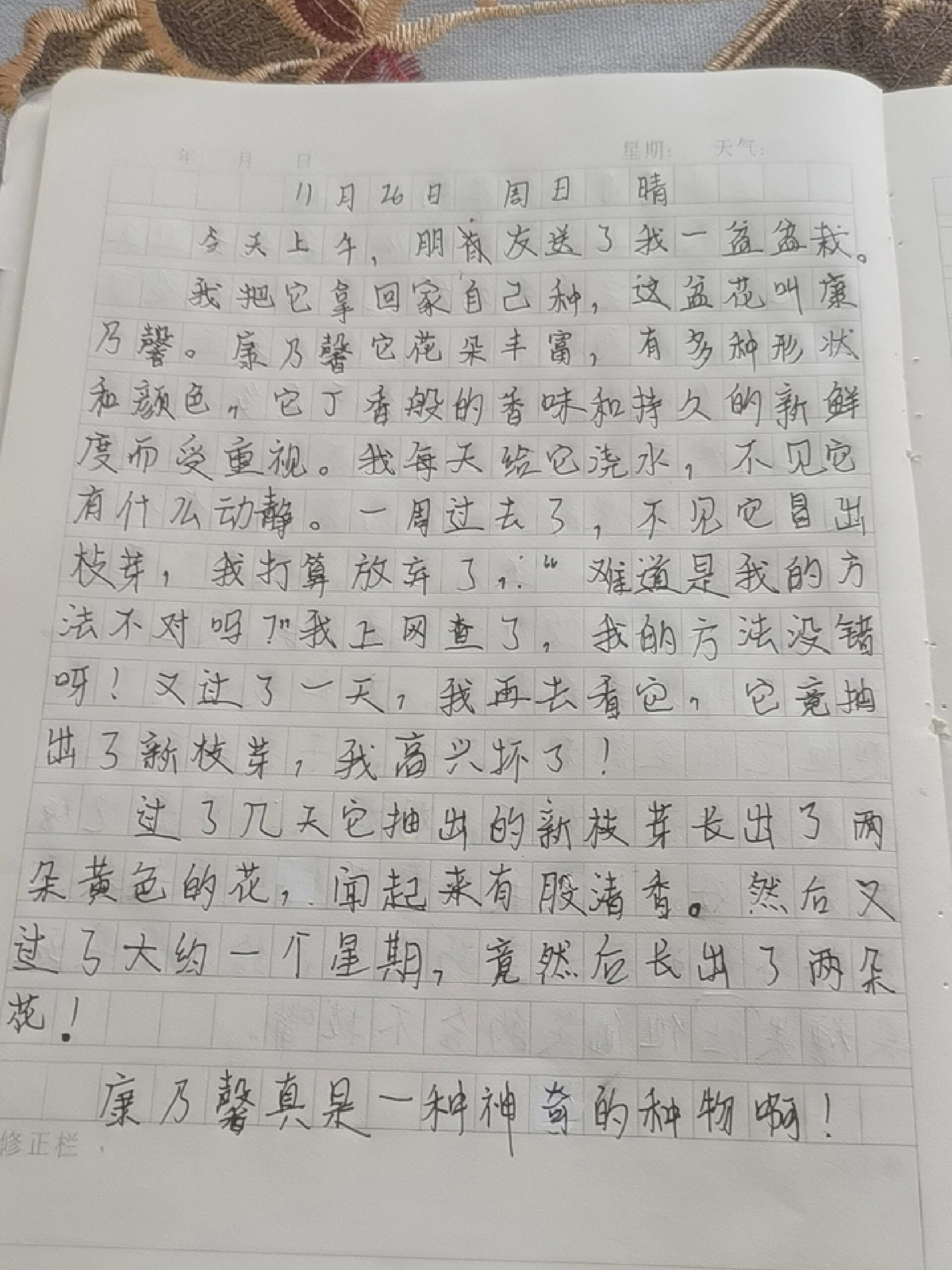 简单日记100字图片