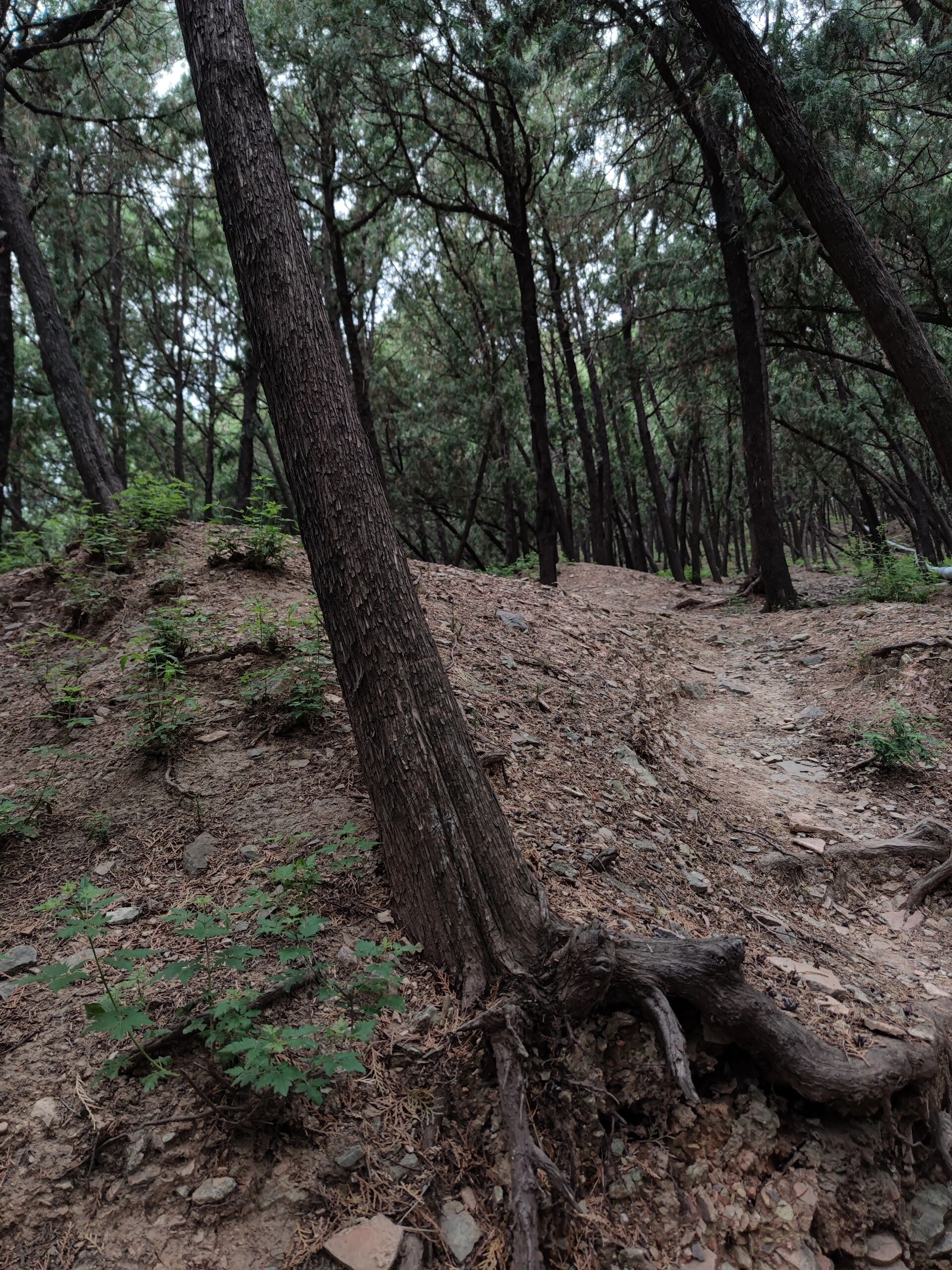 泰山下的"鬼都"