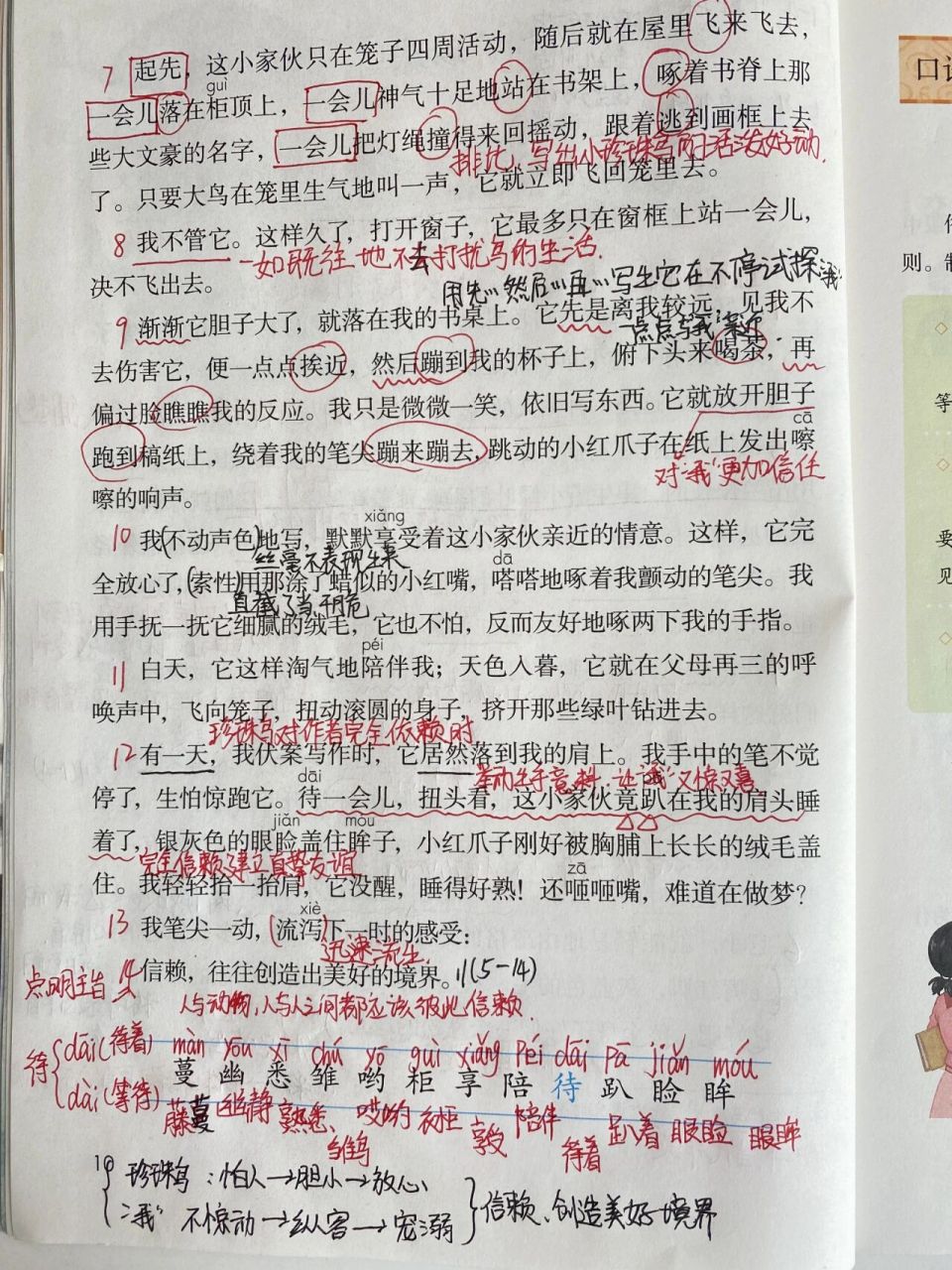 五年级上册语文—第四课《珍珠鸟》课堂笔记