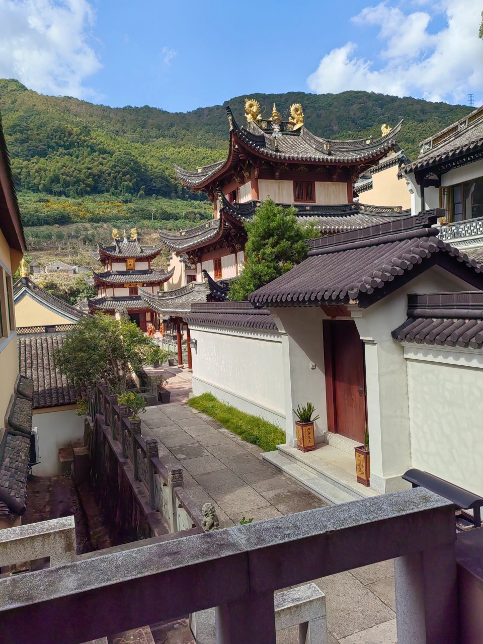 象山等慈禅寺 虔诚的祈祷