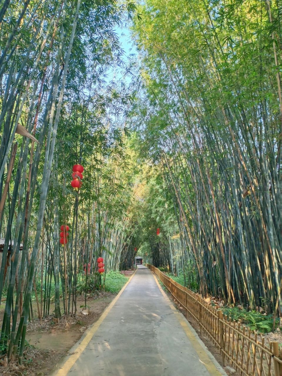 广宁竹海大观一日游 太适合放松了 (官方介绍)广宁拥有108万亩竹林,在