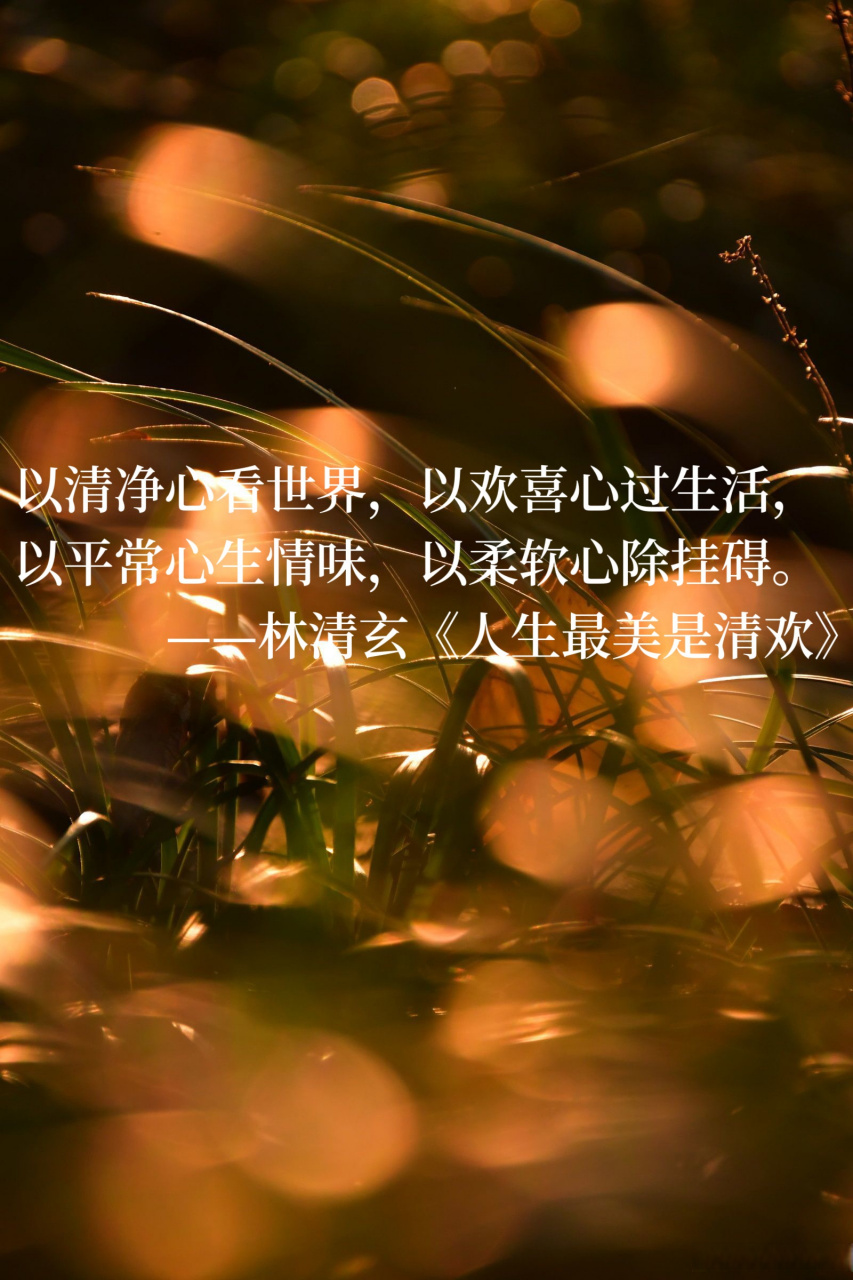 弘文拾萃# 以清净心看世界,以欢喜心过生活, 以平常心生情味,以柔软