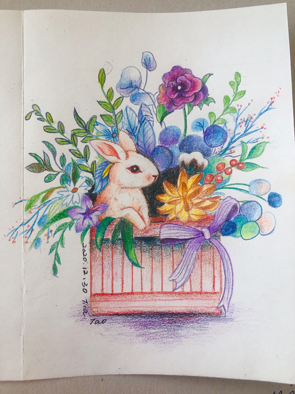 简单又漂亮的彩铅画很适合孩子们