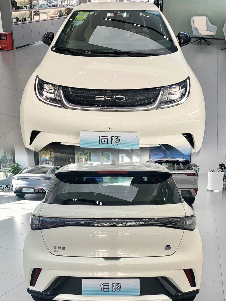 2023款海豚98购车指南 2023款比亚迪海豚98车型配置及购买建议