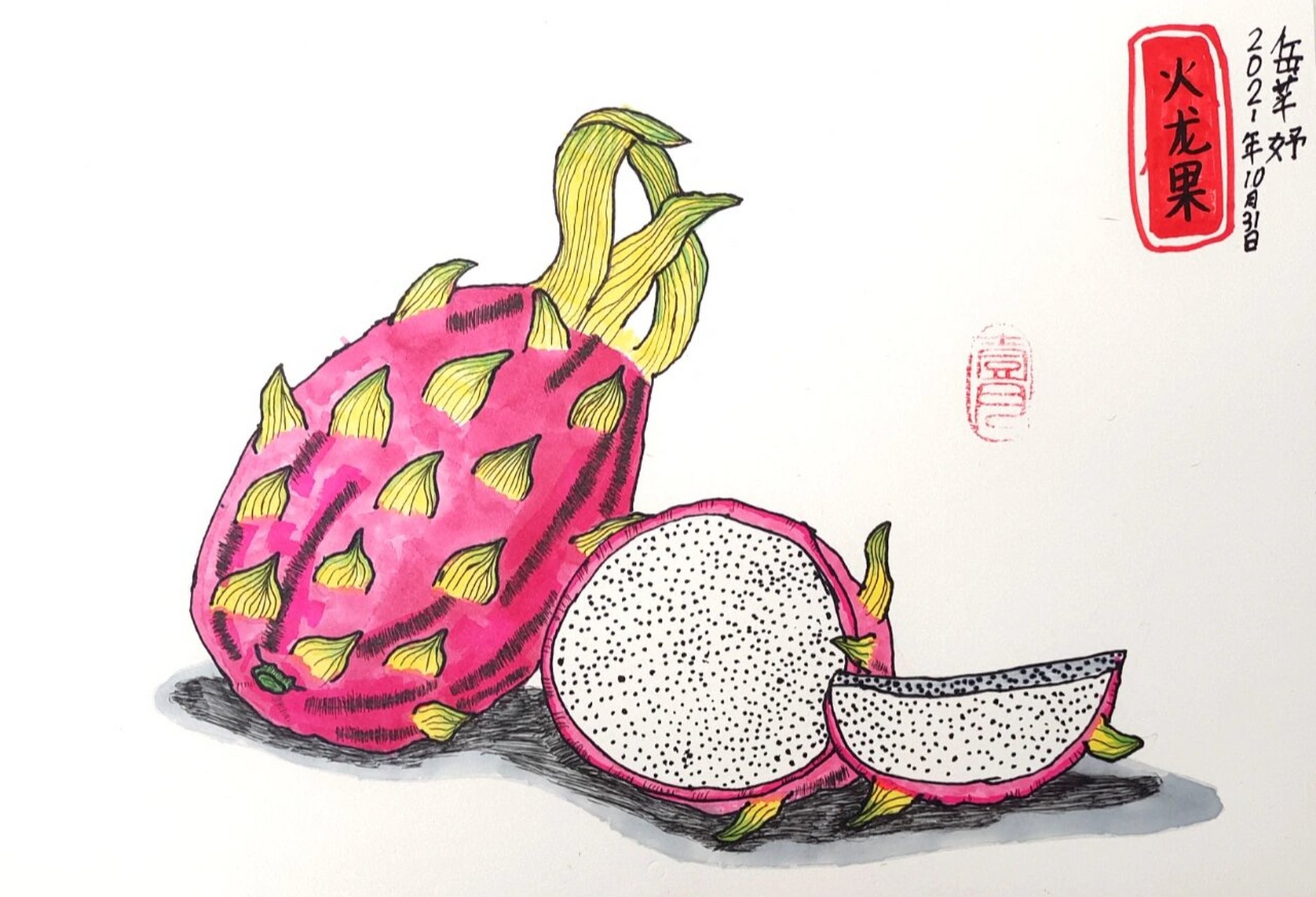 儿童绘画写生《火龙果》马克笔线描          火龙果写生作品   马克