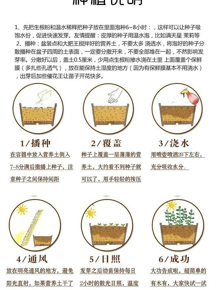 大酒葫芦种植方法图片