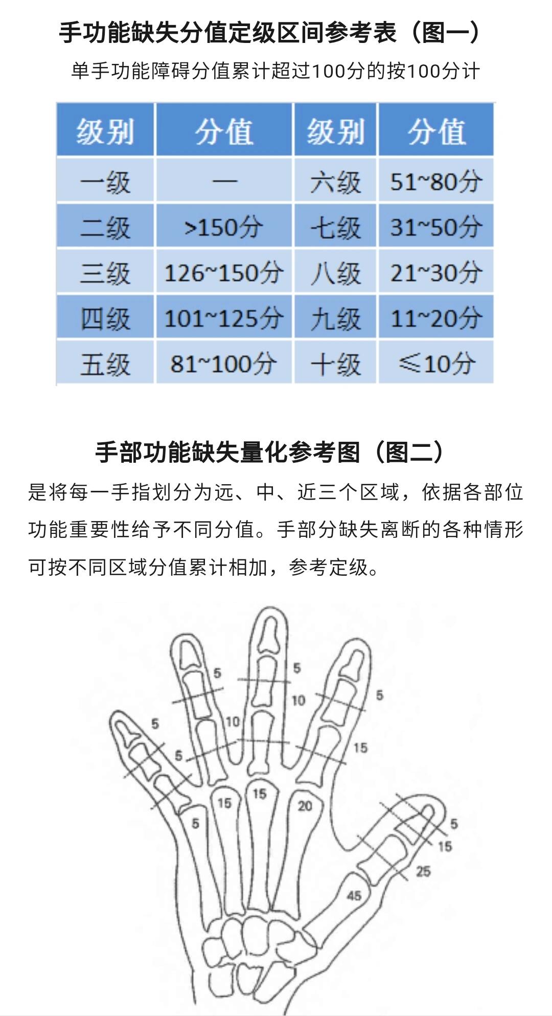 手功能分级图片