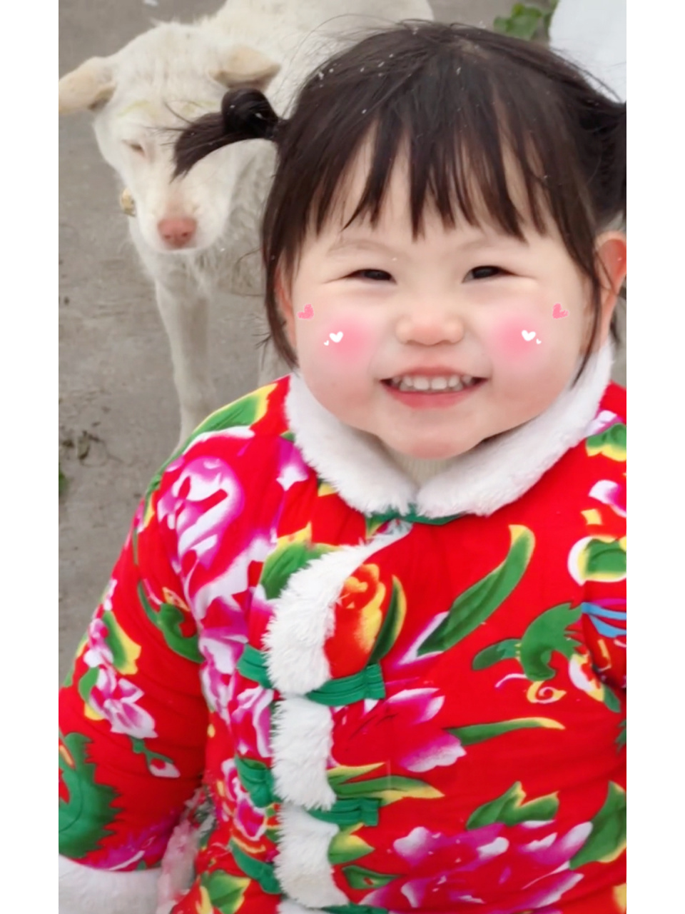 限定瑶一瑶大棉袄手机壁纸～ 穿大花棉袄的瑶瑶太可爱了吧