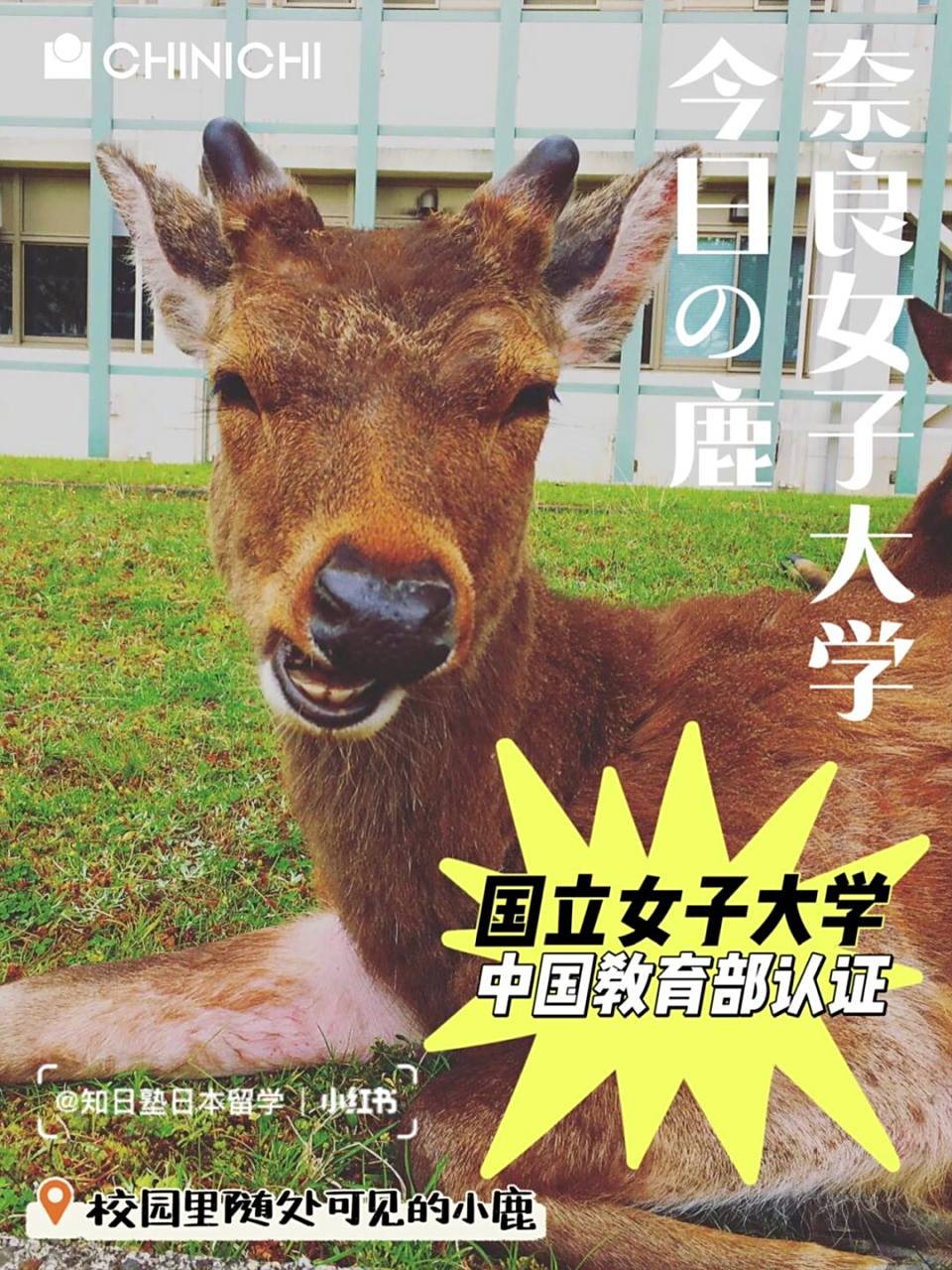 全日本"最好吃"的学校97奈良女子大学 就上一篇女子大学合集的笔记