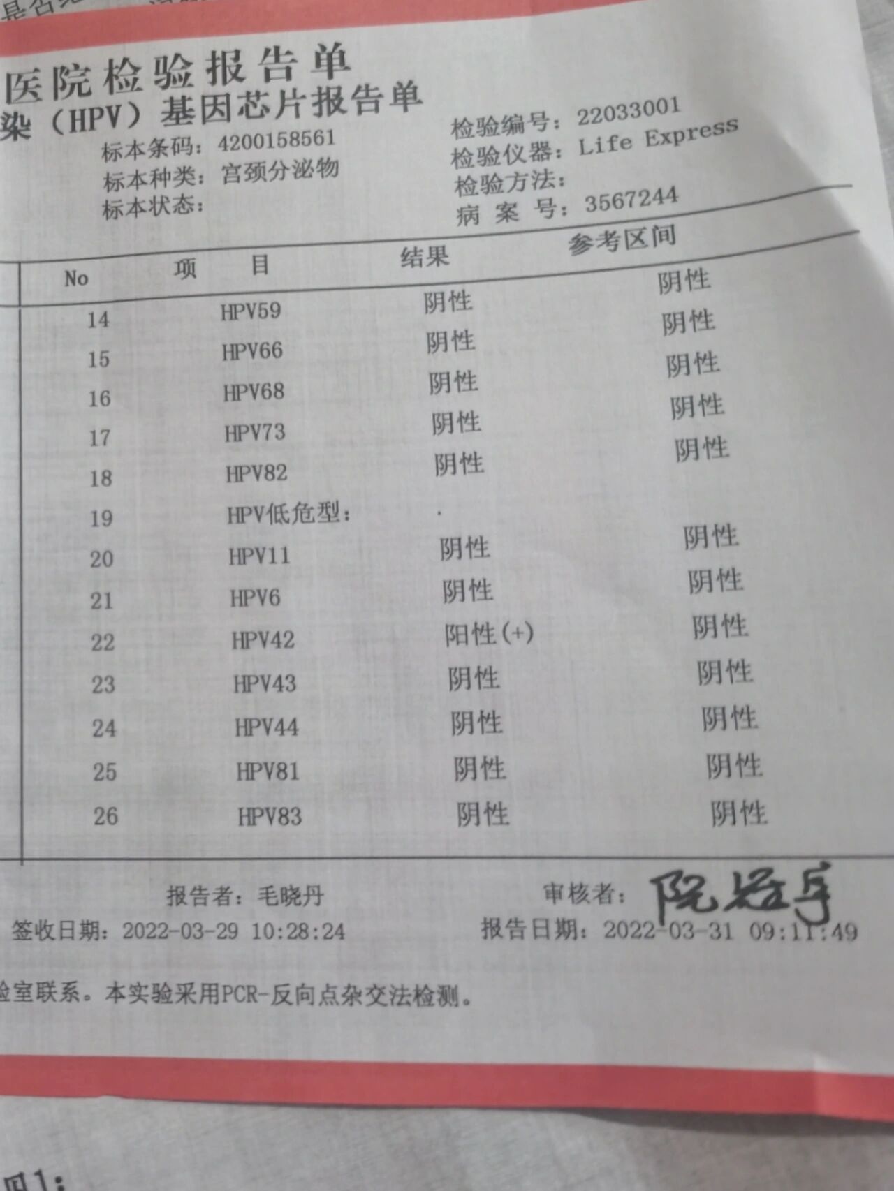 请问hpv42阳性要怎么办 请教大神 这种低危要怎么处理 它会体现什么