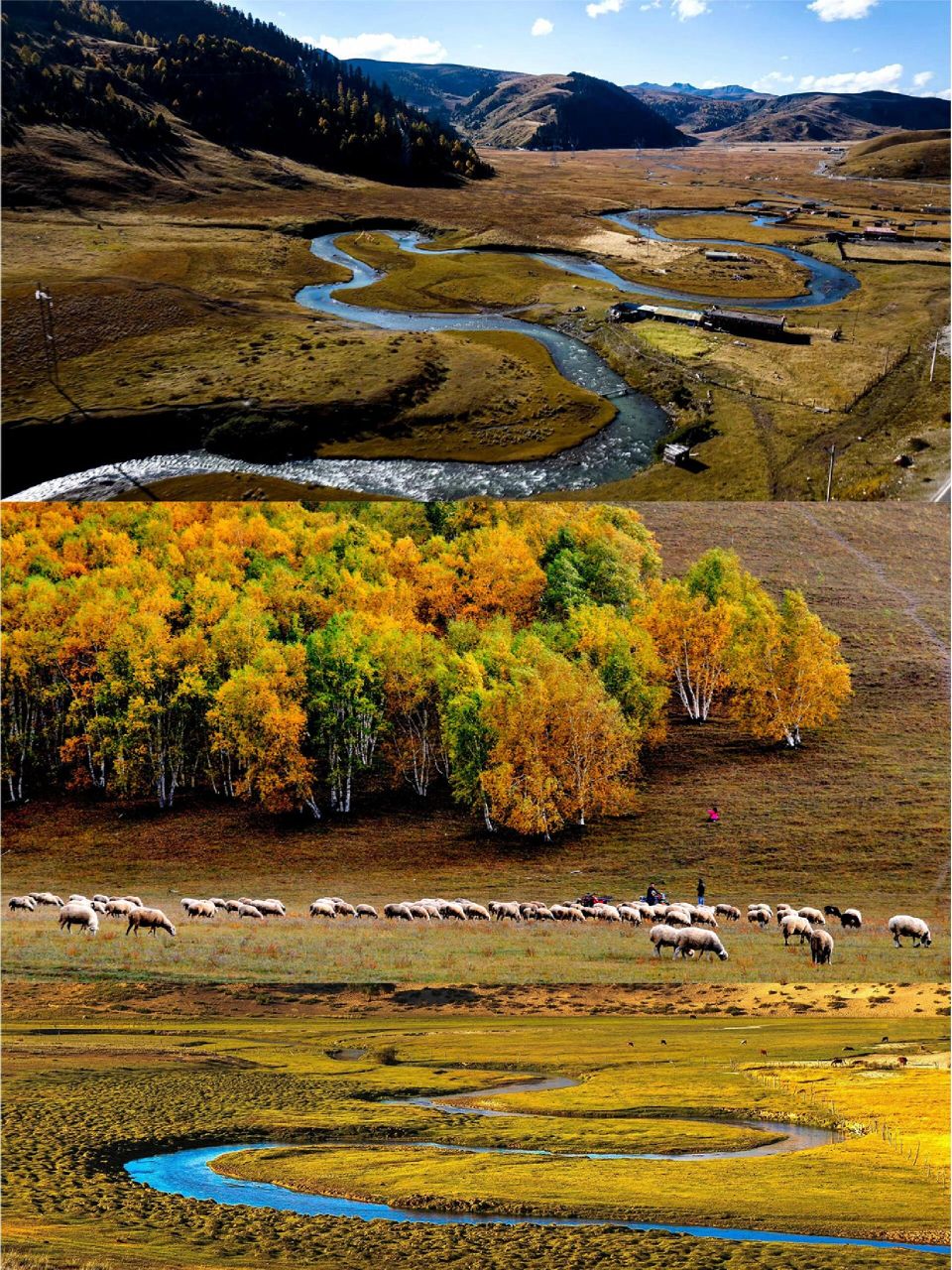 正蓝旗草原旅游两天一夜游攻略 94正蓝旗旅游注意事项 ①草原地区