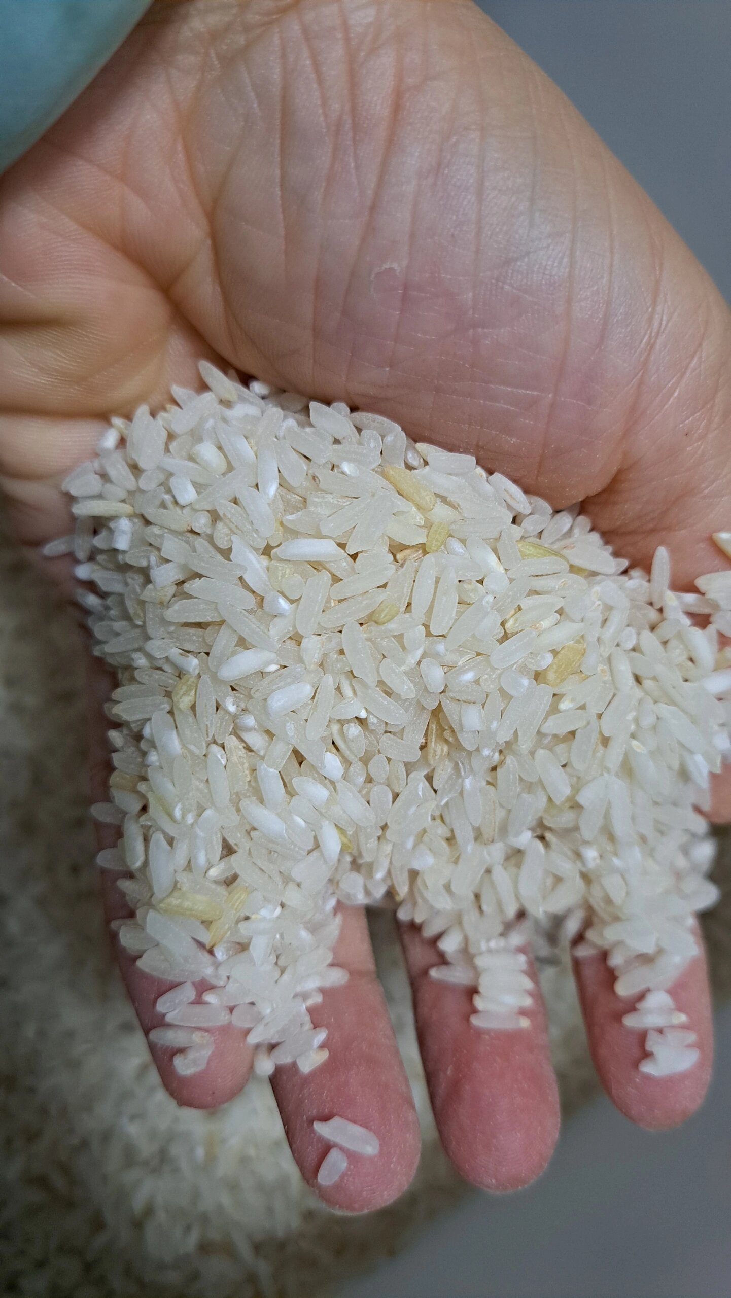 大米发黄有点发霉味道还能吃吗