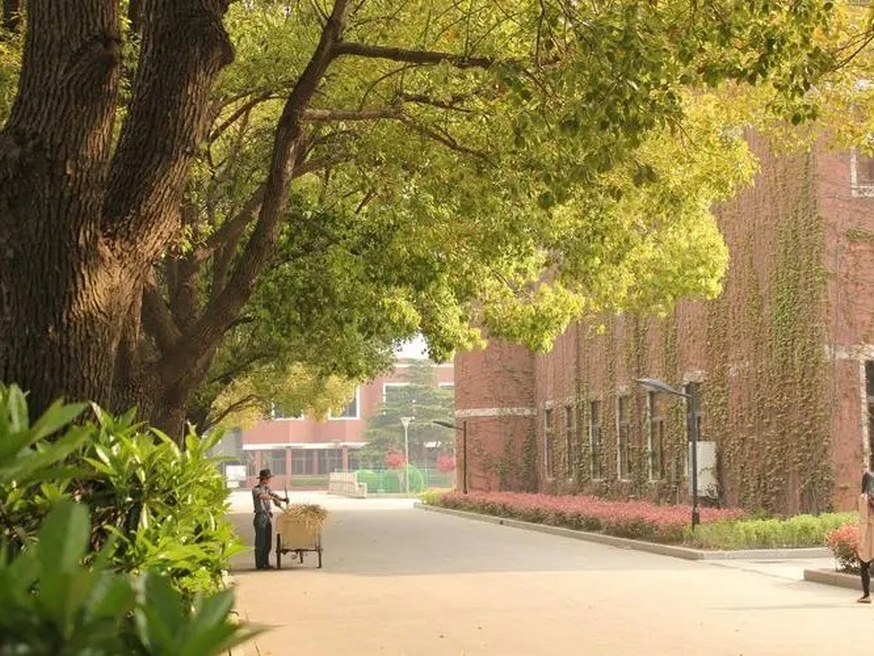 张家港市常青藤实验学校国际部招生指南 张家港常青藤实验中学位于