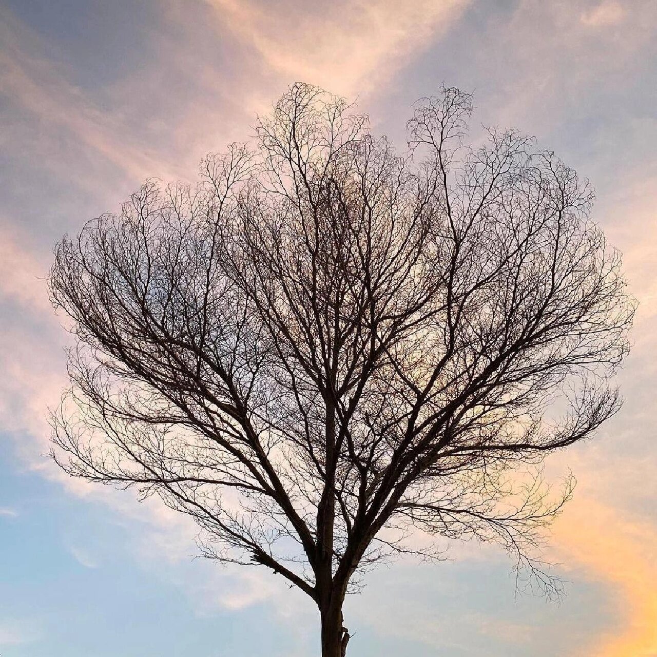 不忘来时路,奋进新征程 最近好像点背到家,和丈夫相处不愉快,办公室