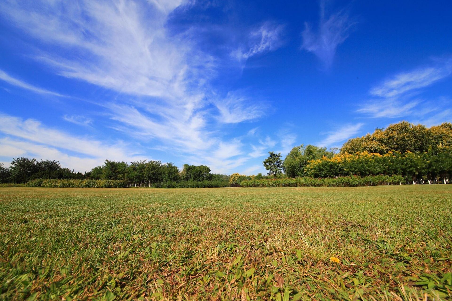 天津津南区免费郊野公园 最近在津南区鄱阳南路发现一个免费的郊野