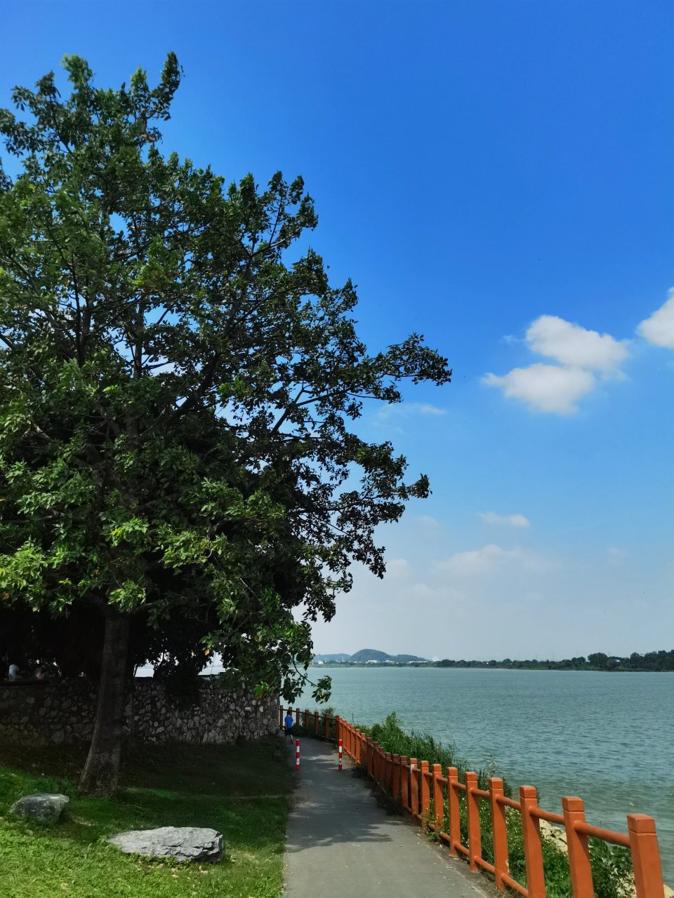 佛山|东海绿岛,主打一个人少,原生态!