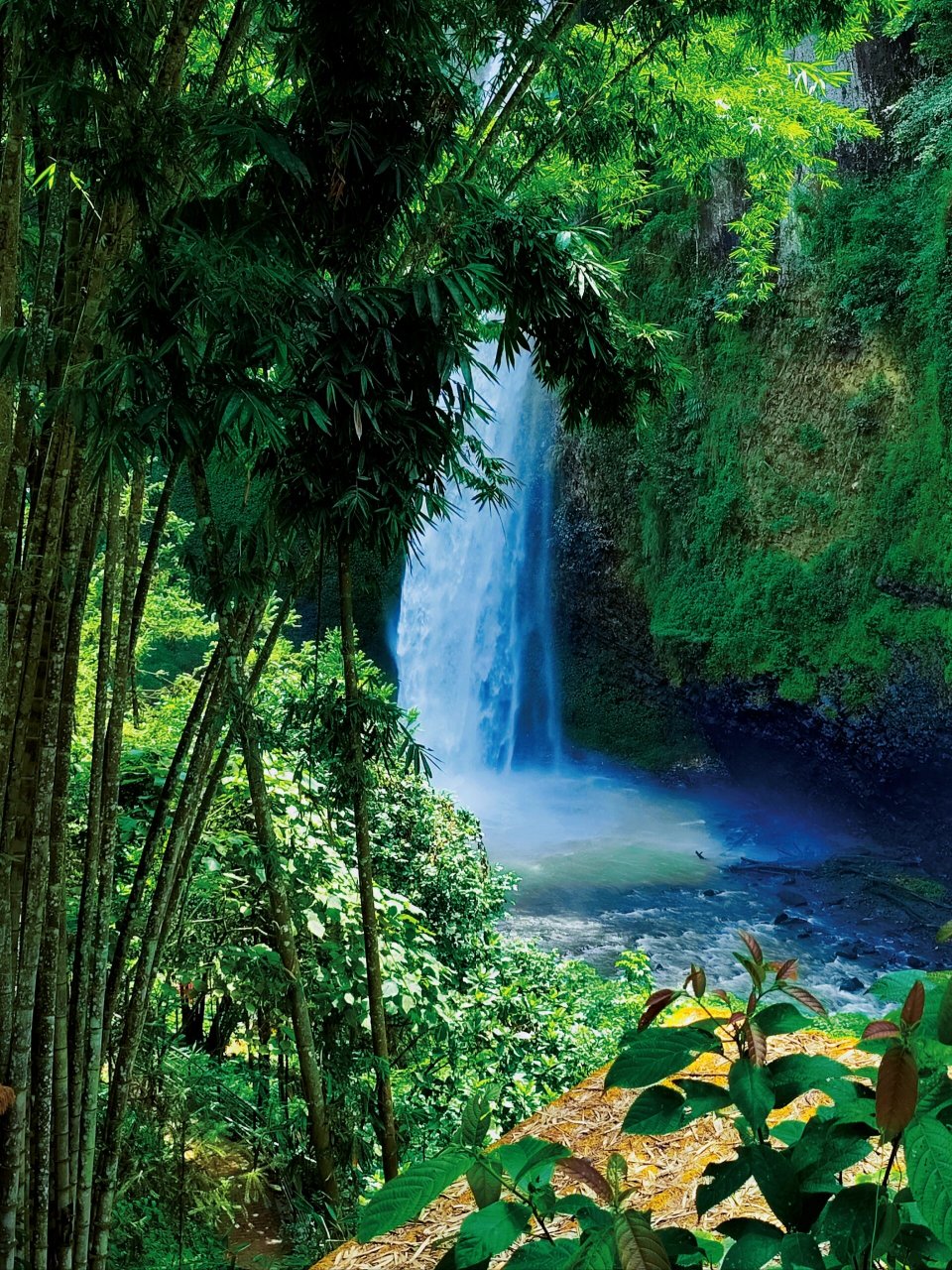 云南屏边苗族自治县小众游 屏边苗族自治县滴水层瀑布,大围山国家森林