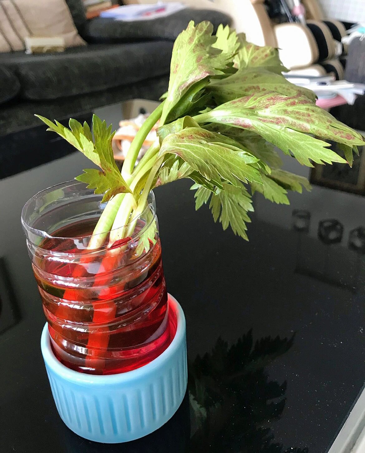 生物双减作业——观察输导组织 将白菜,芹菜等植物的茎泡在红墨水中