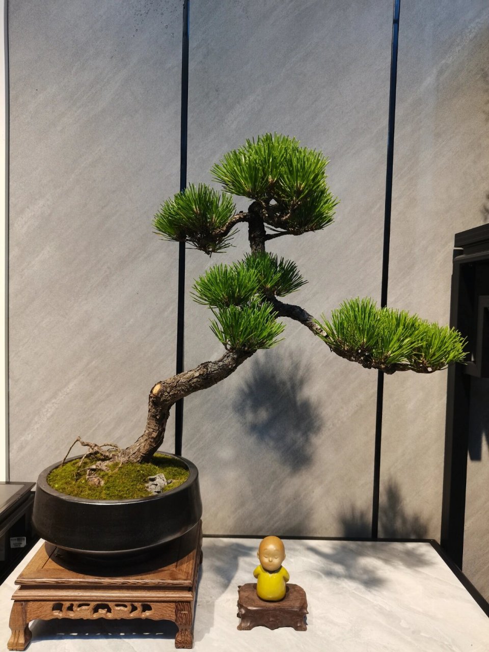 有朝一日寒霜降,只见青松不见花.
