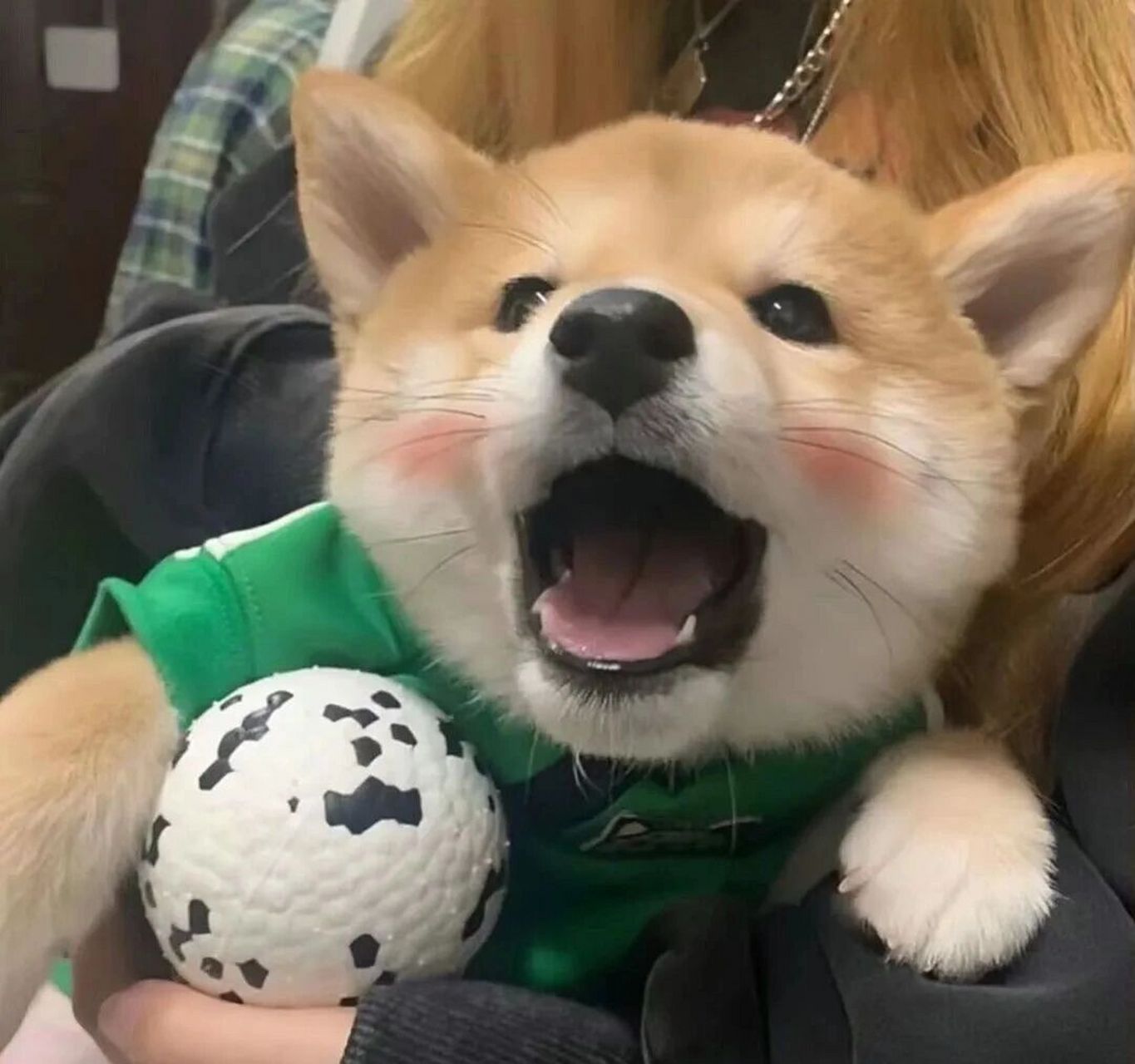 这才是社牛应该用的头像