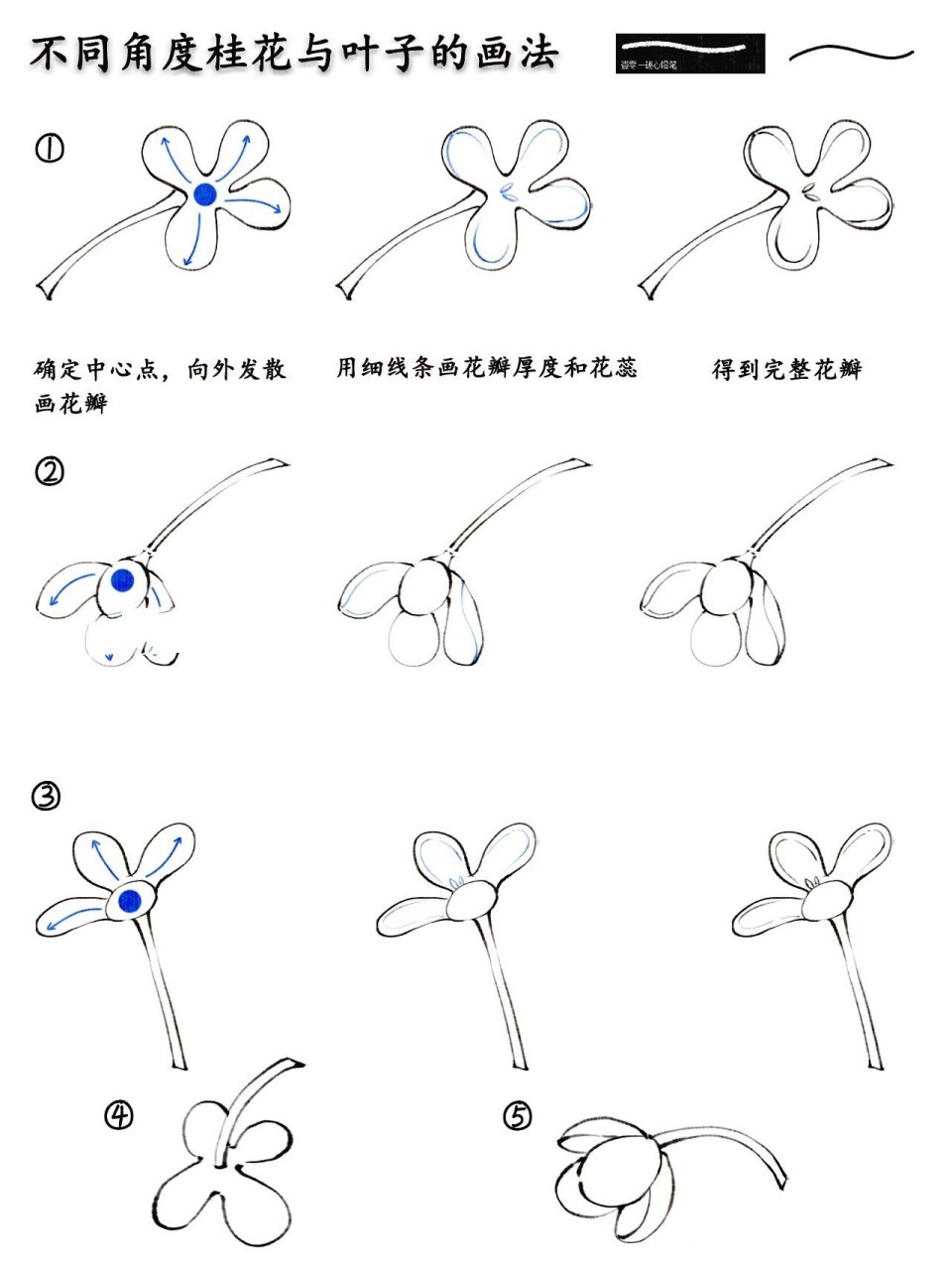 怎么简单的画桂花图片