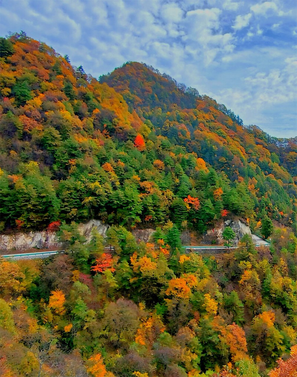 黄博源旅游（黄伯源旅游景区）《黄伯源景区图片》