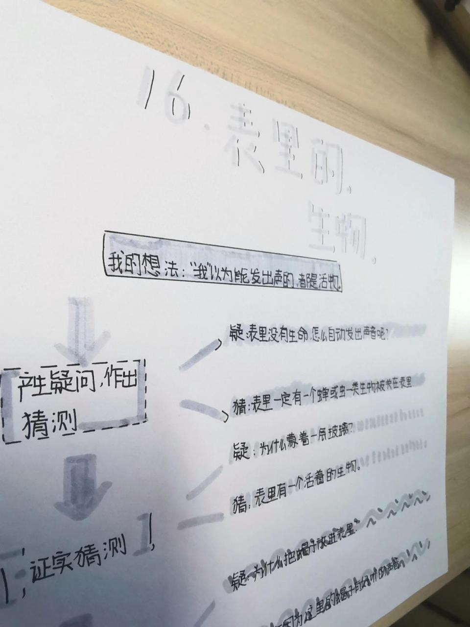 六年级下册语文《表里的生物》思维导图 加油,一起内卷啊