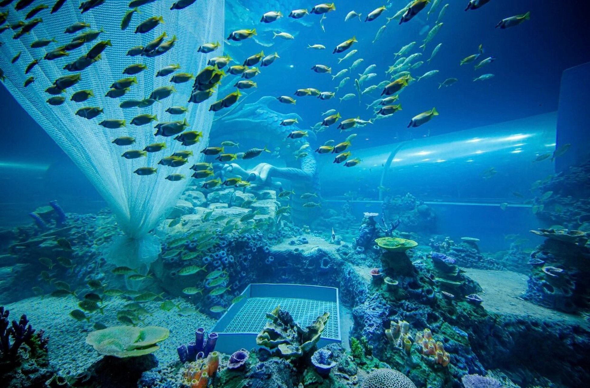 【绝对不能错过】厦门海上世界城中鱼视界海洋 大家快来看啊,厦门海上