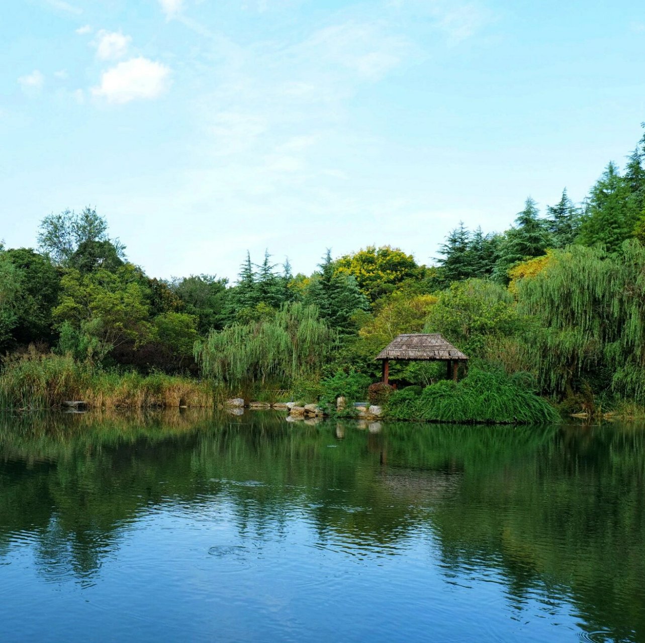 徐州假期好去处|金龙湖宕口公园 假期来到位于宜家旁边的金龙湖风景区