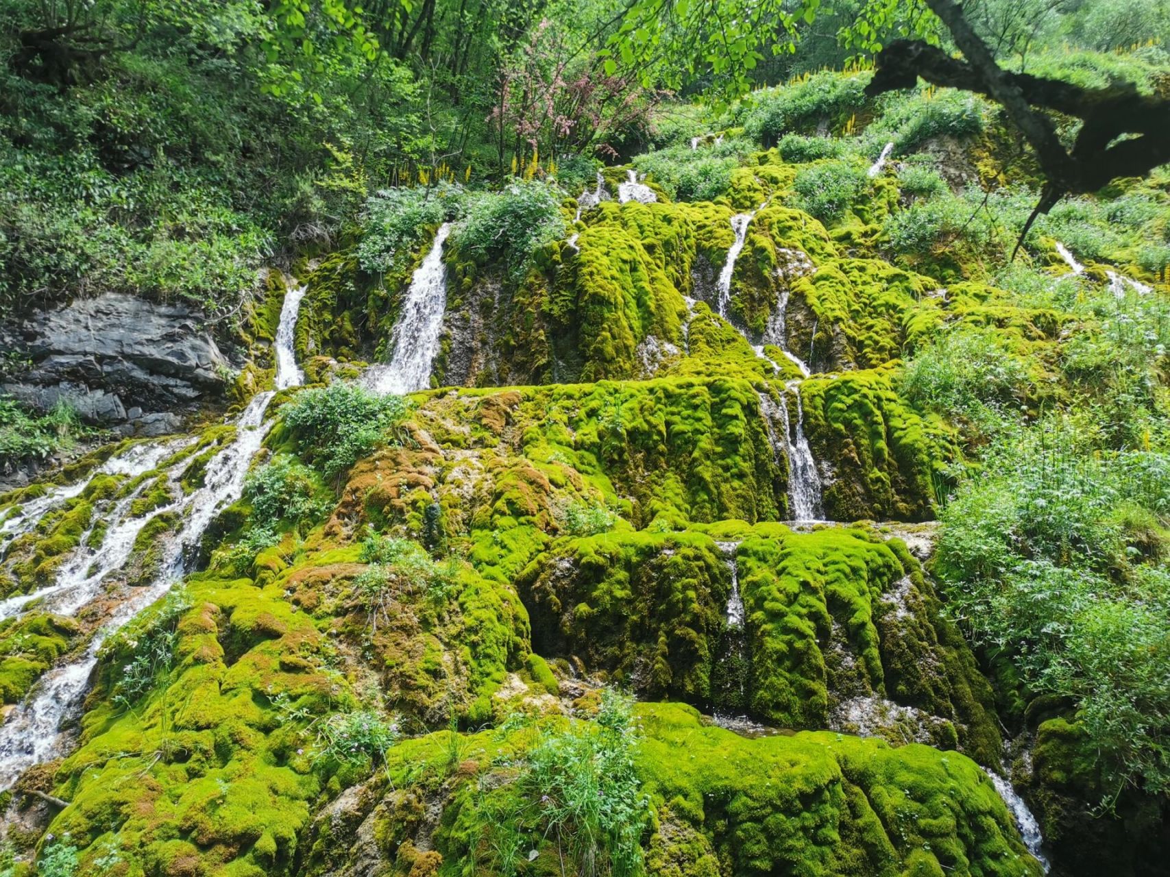导航扎龙沟到达景区门口,从景区大门坐观光车大概八分钟才到核心景区