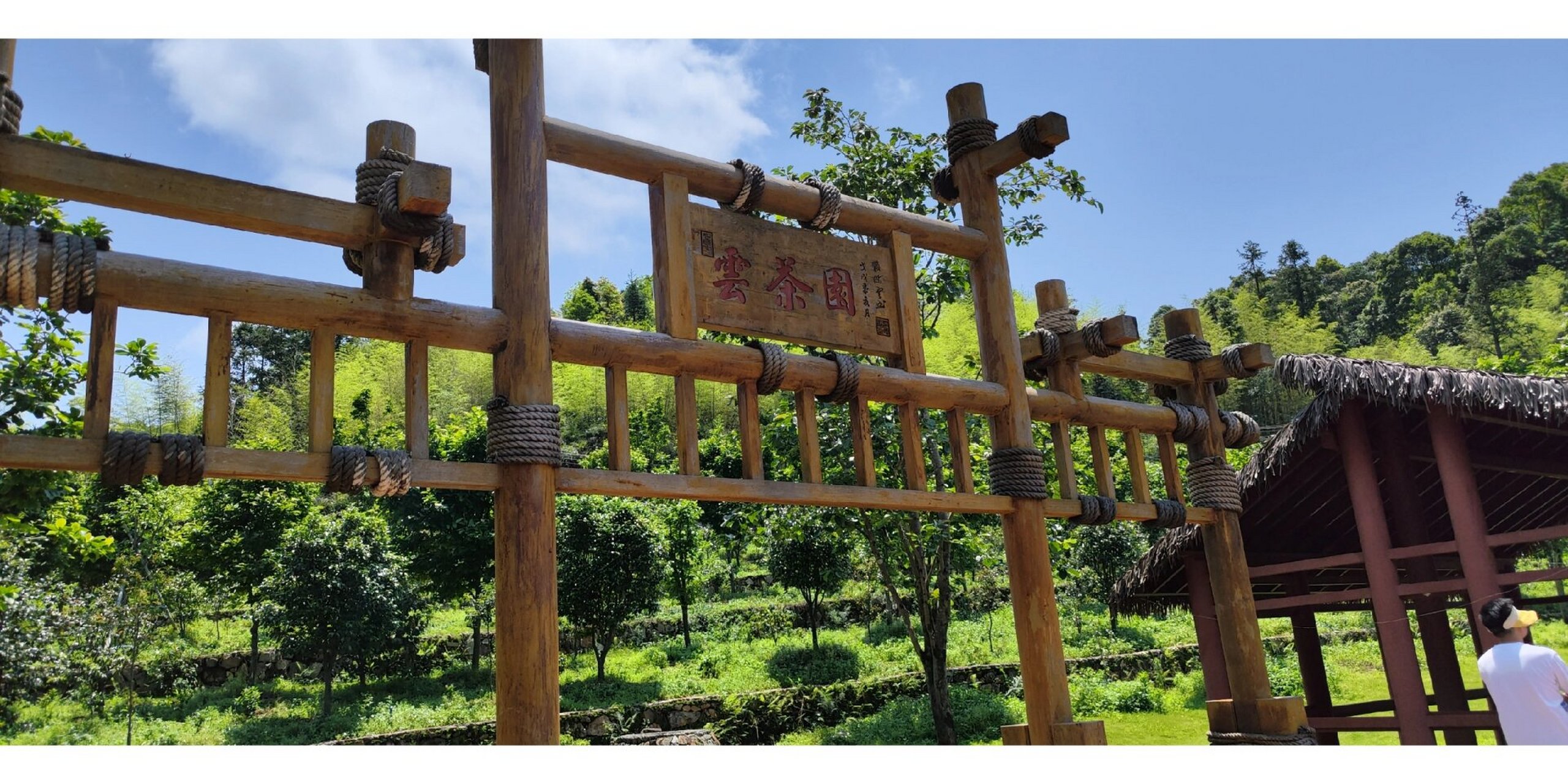 五一从化阿婆六茶花谷之旅