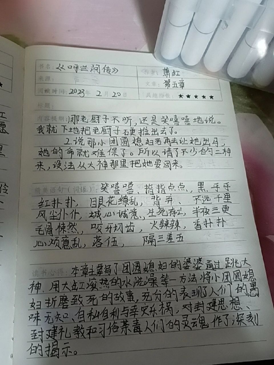 《呼兰河传》读书笔记第五章