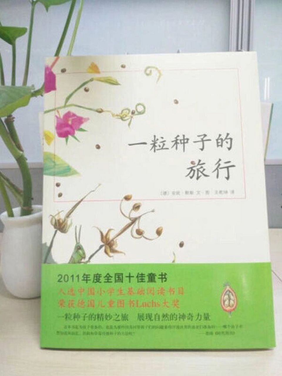 《一粒种子的旅行》 一二年级科普绘本 这本科普读物是德国作家安妮
