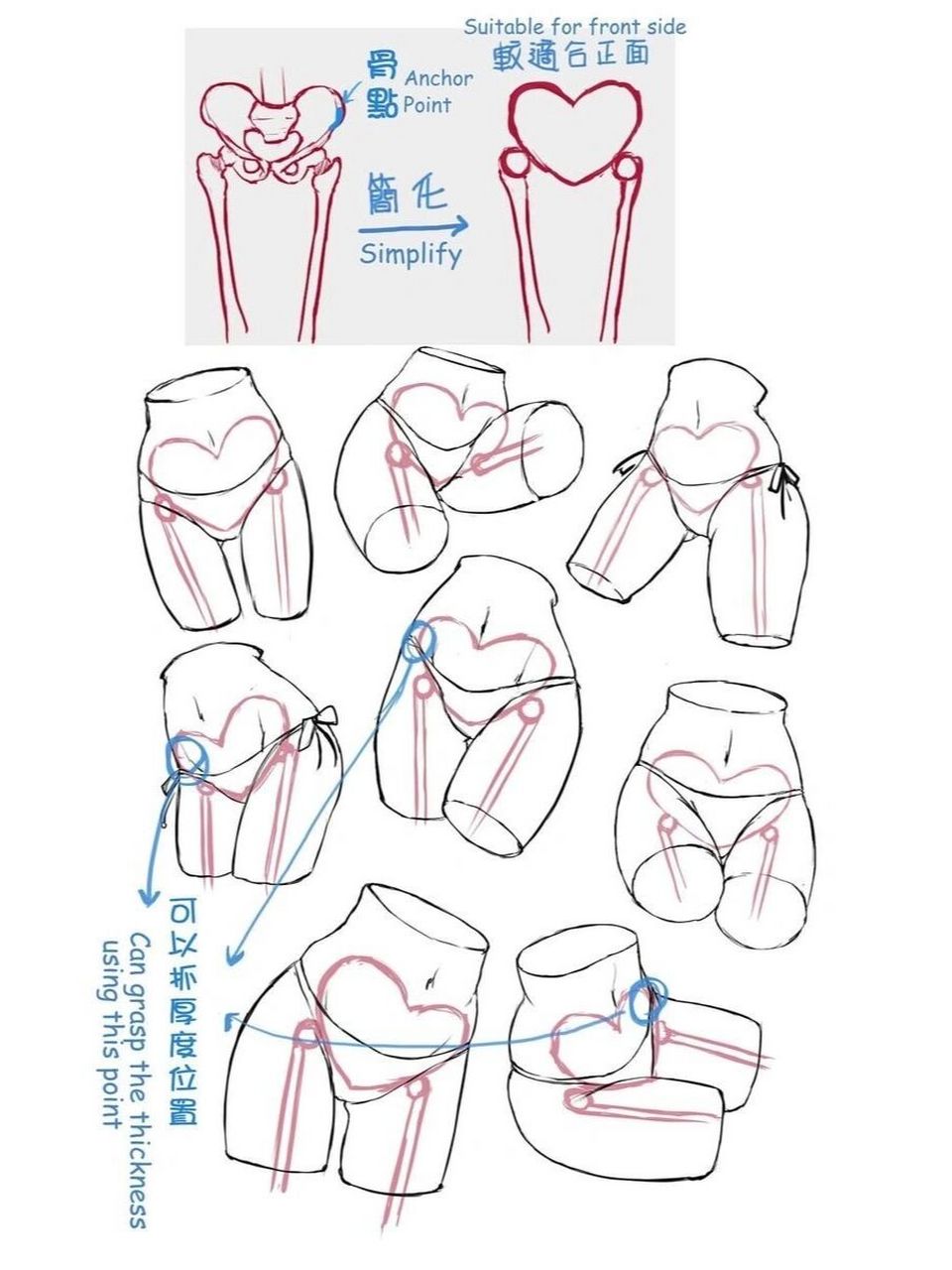 人体臀胯部的结构绘制参考!