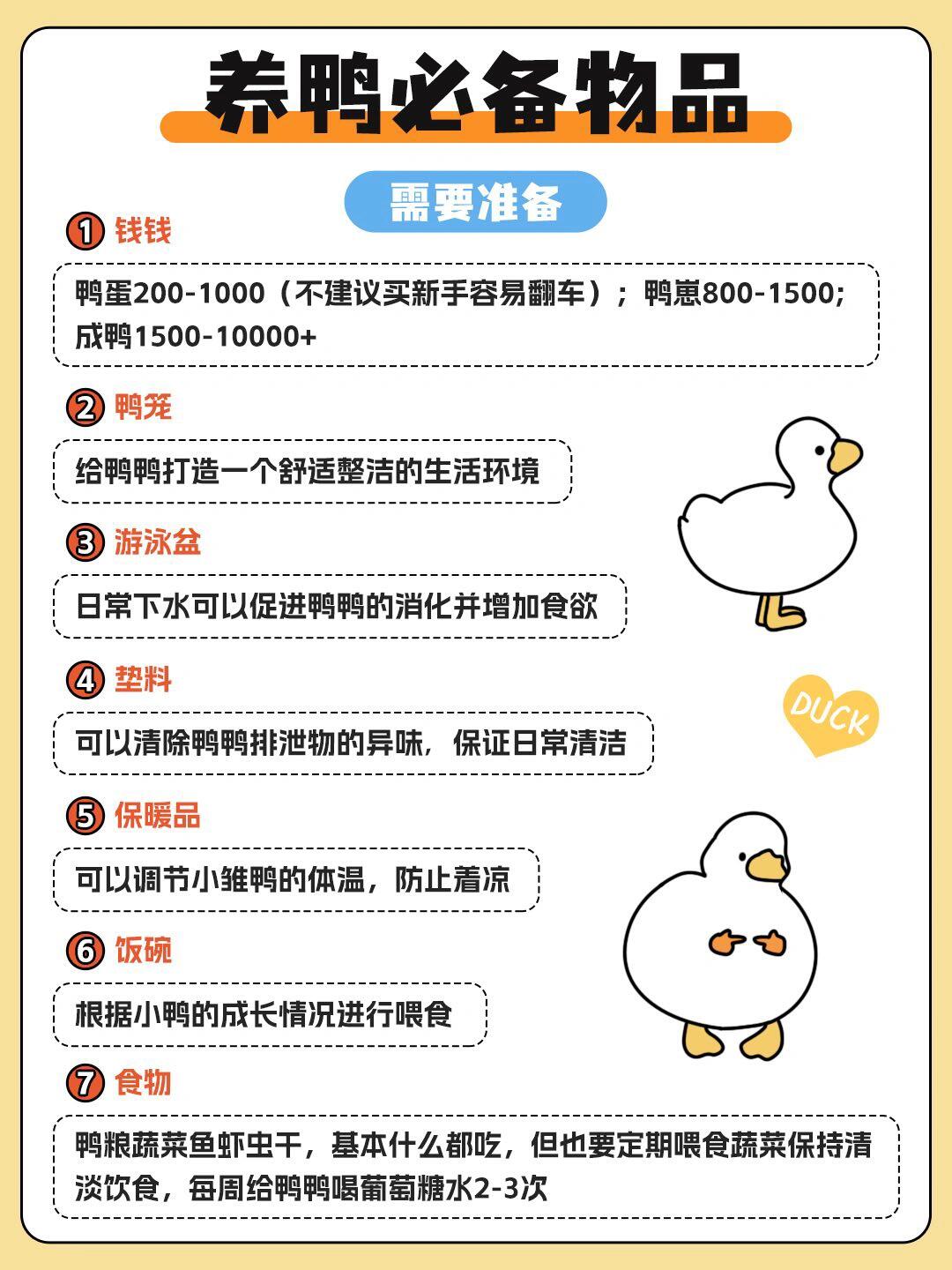 从零开始养柯尔鸭6015这谁能拒绝鸭71