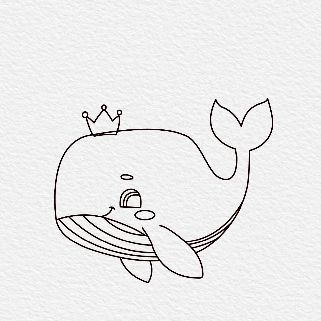 鲸的画法简笔画图片