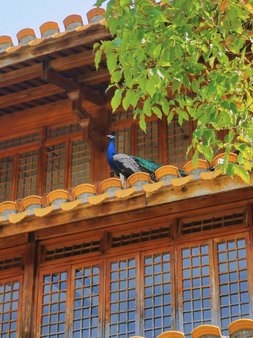 5/早上 地址99福州·鼓山般若苑 攻略重点73懒人去法,不误导任何