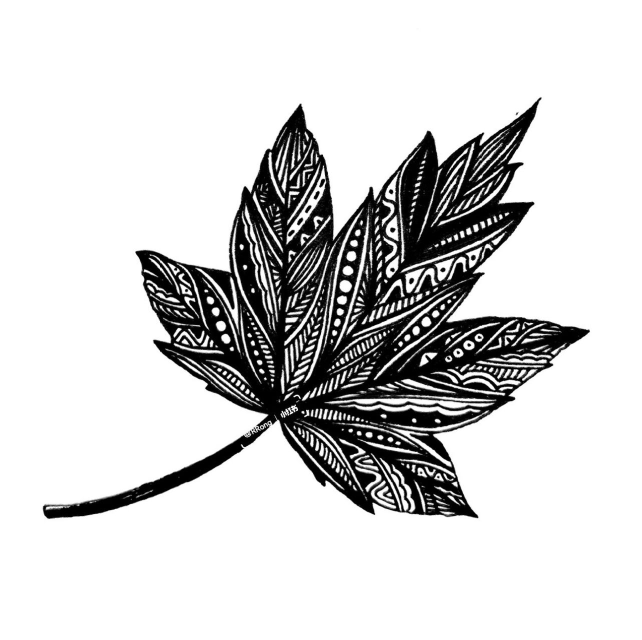 树叶线描画黑白图片