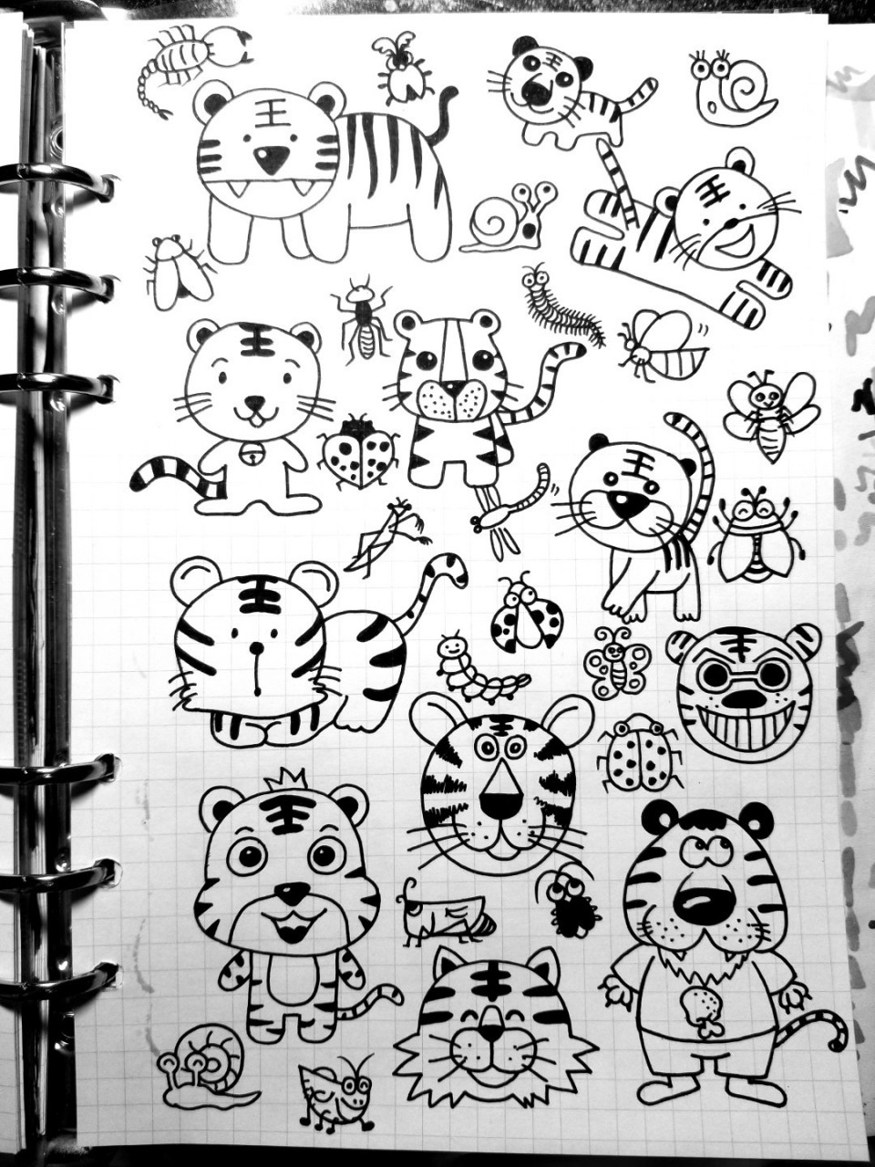 62 十二生肖简笔画素材之大老虎 手帐手抄报海报通用元素老虎91顺便