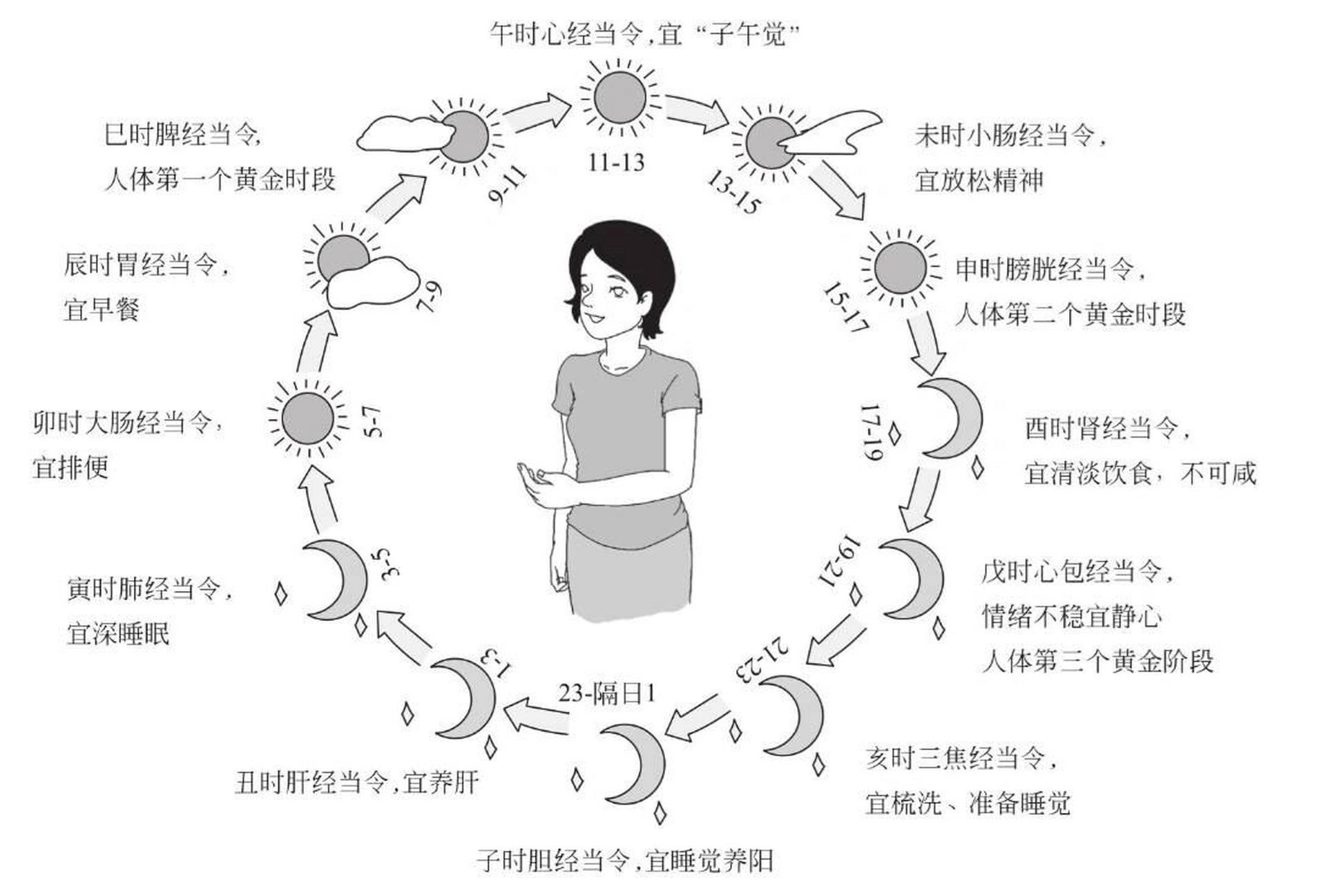 人体生物钟表图片