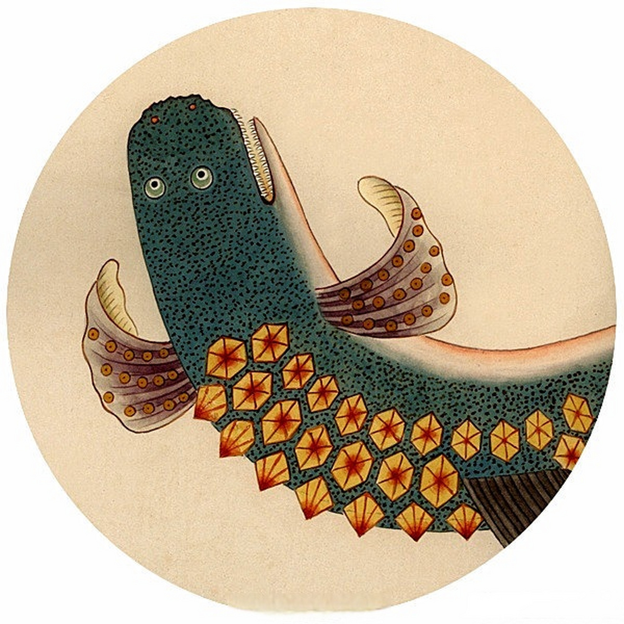 清代博物图册|《海错图》 清.聂璜